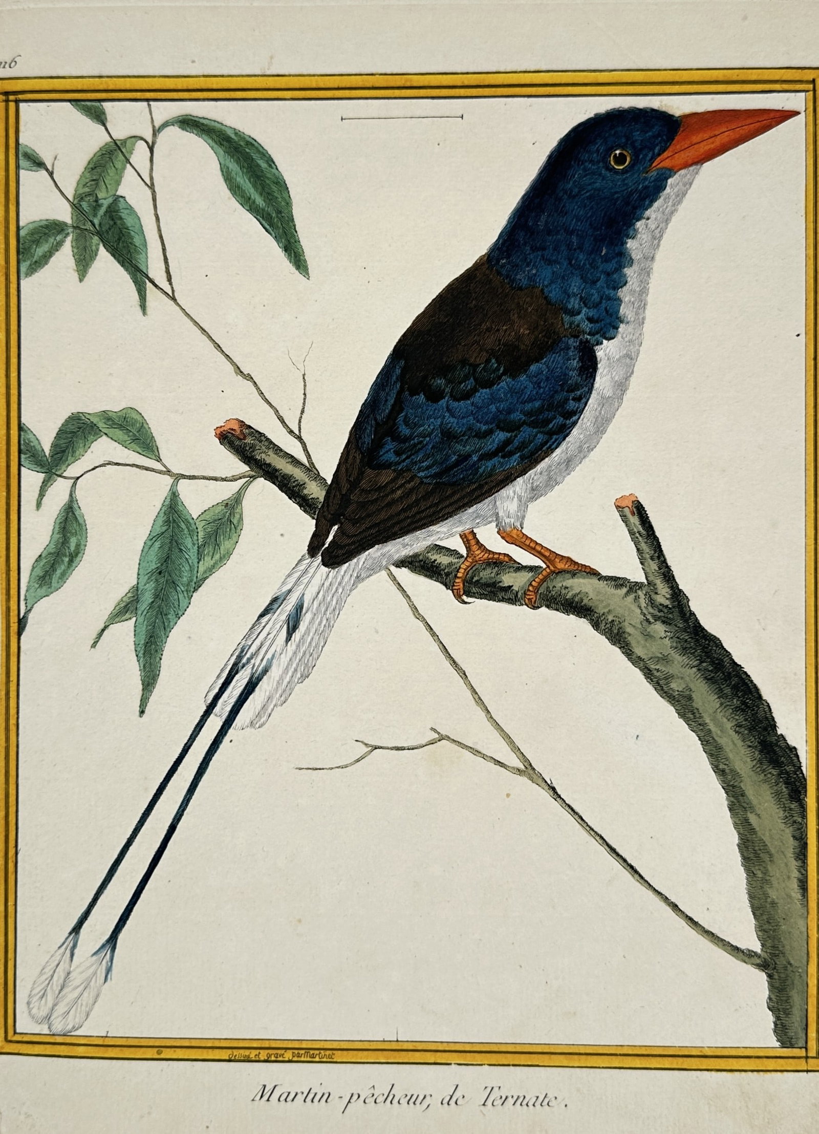 François-Nicolas Martinet – View of the Kingfisher of Ternate – Hand-coloured etching (c. (1 of 2)