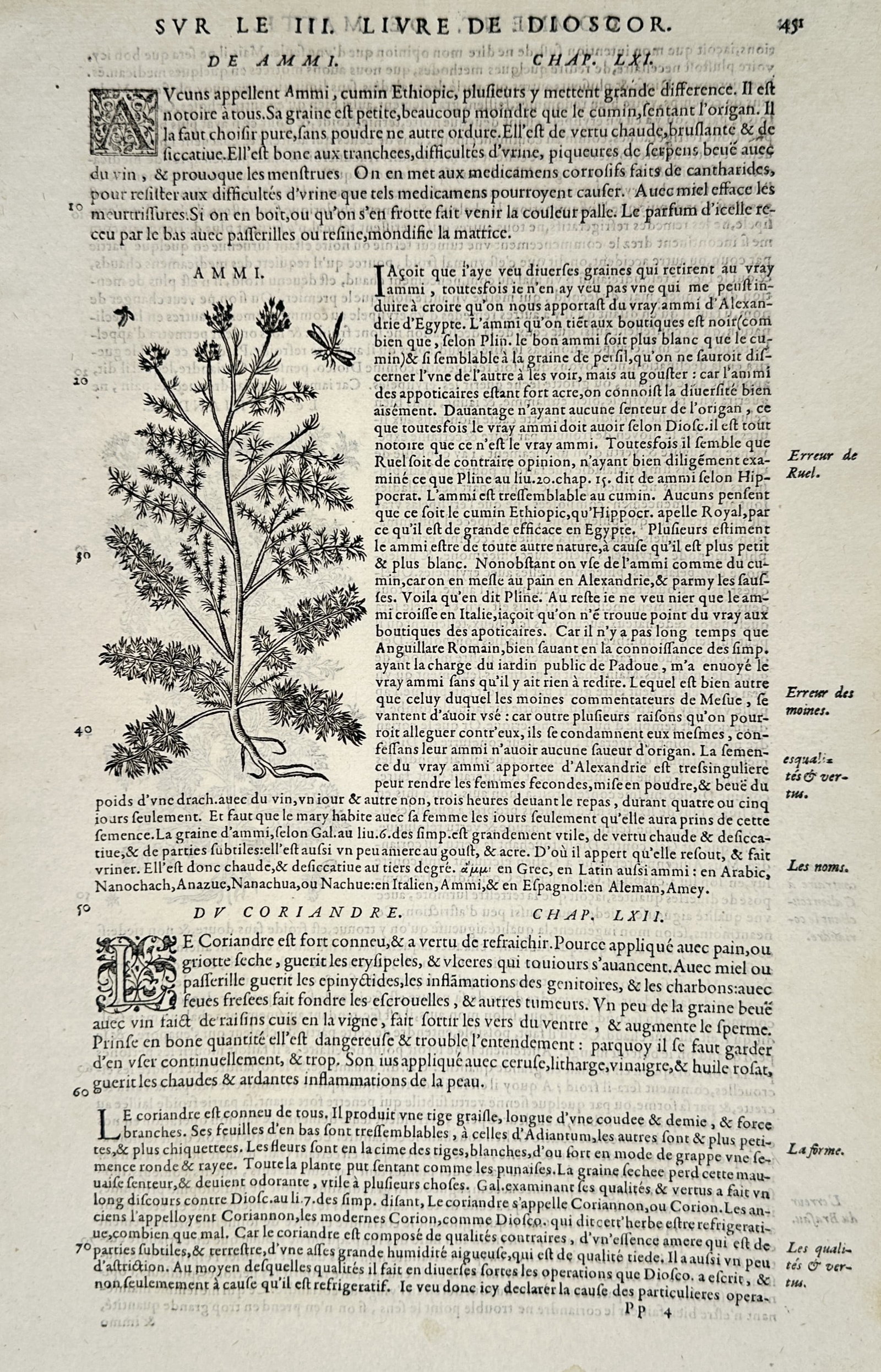 Pietro Andrea Mattioli (1501–1578) – Bishop's Weed (De Ammi) – Woodcut (1572): Displays a botanical woodcut illustration embedded within the left column of a page of French text layout, showcasing a detailed depiction of a bishop's weed plant with its branching stems, fine pinna