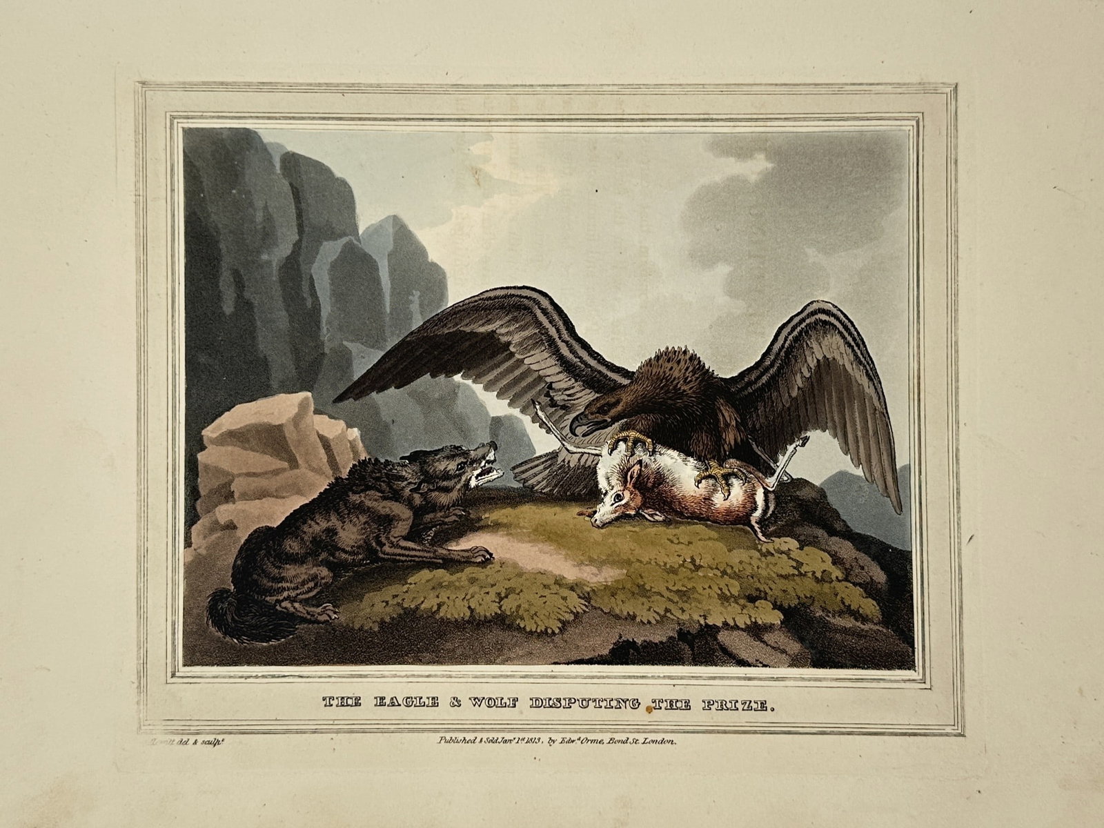 Samuel Howitt (1756–1822) – The Eagle and Wolf Disputing the Prize – Hand-coloured aquatint: Features a dramatic wildlife scene on a rocky mountain outcrop under a stormy sky, showcasing a large eagle with outstretched wings fiercely protecting its prey from a snarling wolf crouching nearby. 