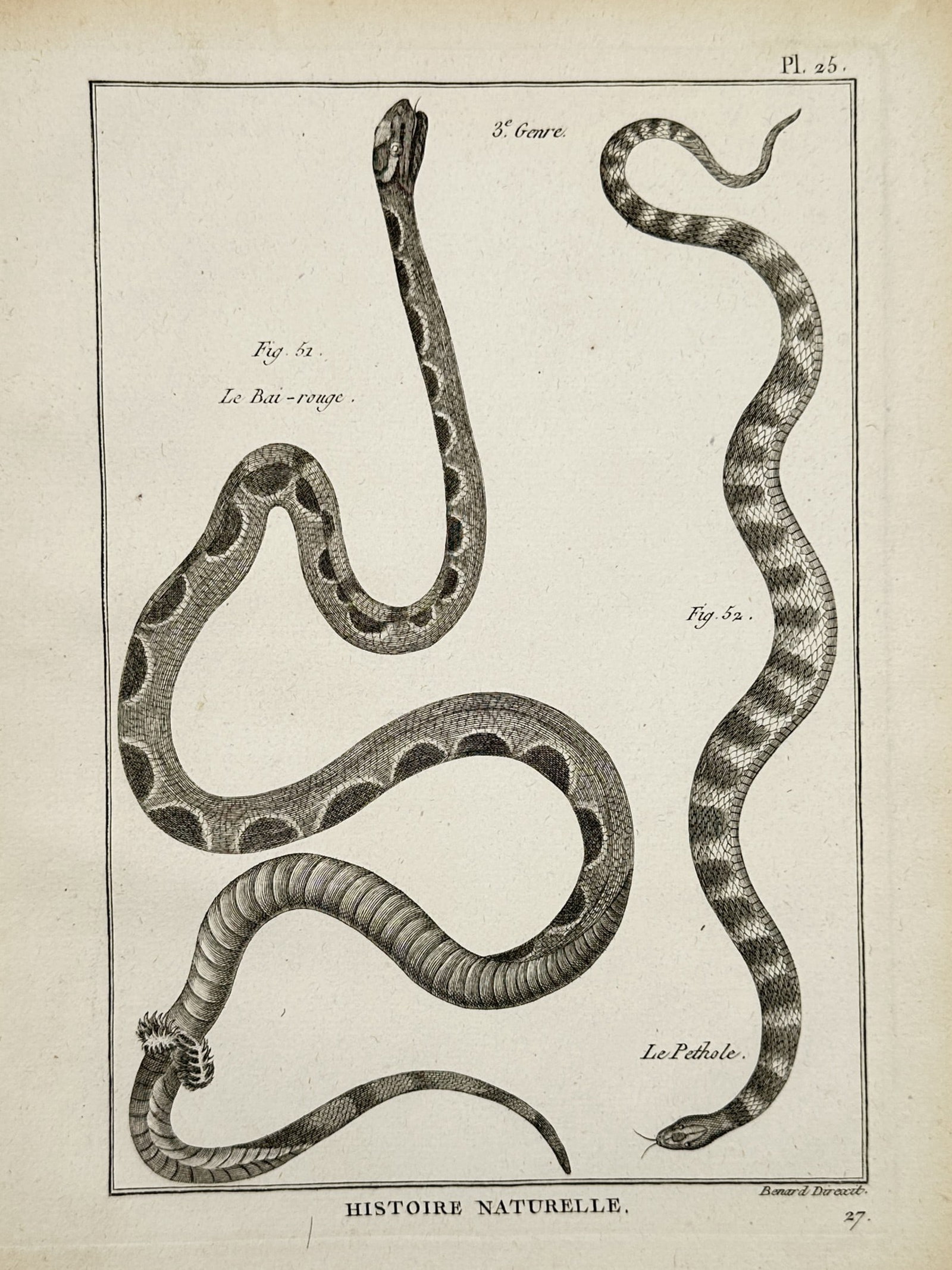 Robert Bénard – Histoire Naturelle: Studies of Snakes (Le Bas-rouge & Le Pethole) (1 of 2)