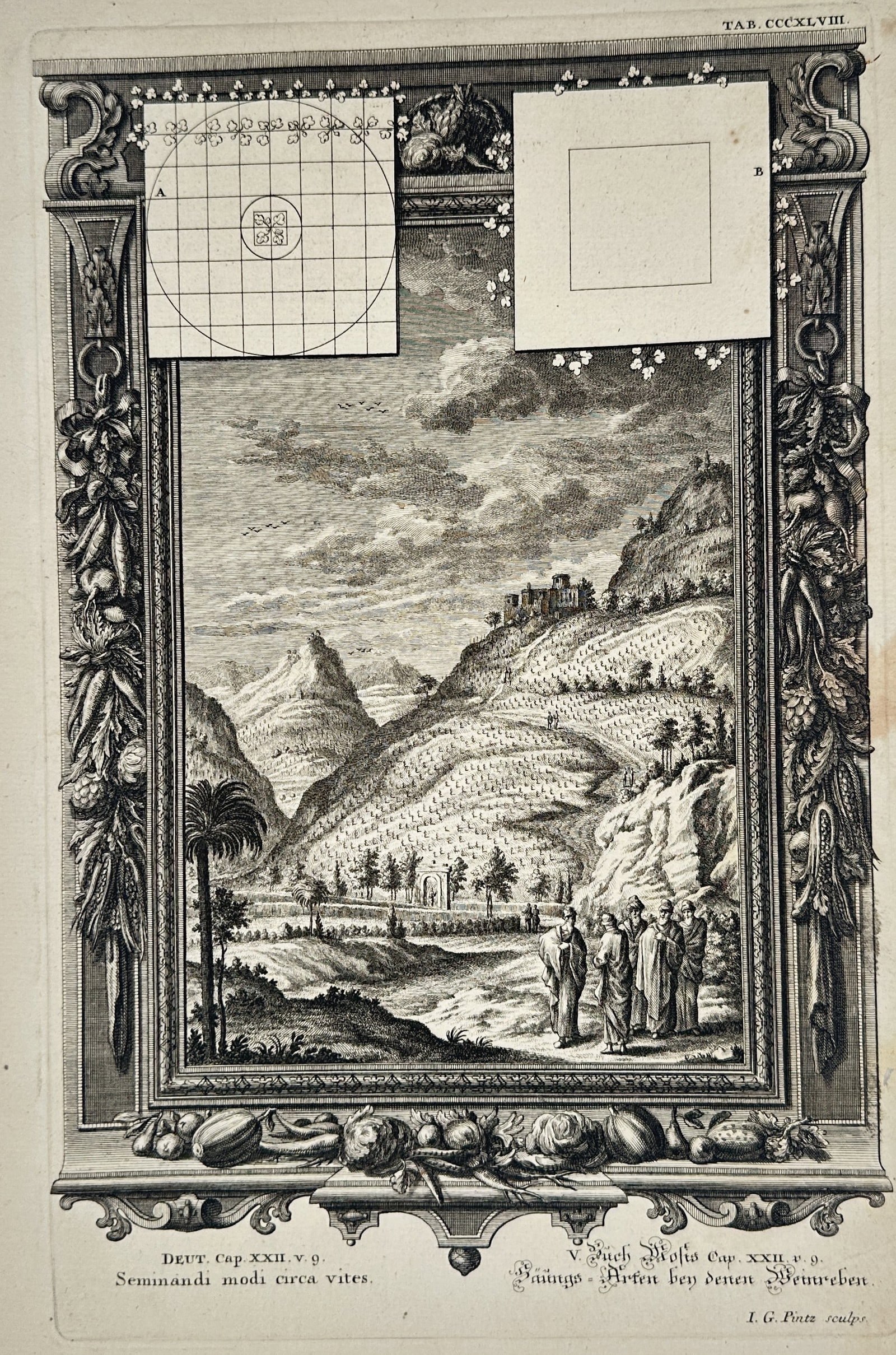Johann Georg Pintz – Methods of Sowing Around Grapevines – Copper engraving (1731) (1 of 2)