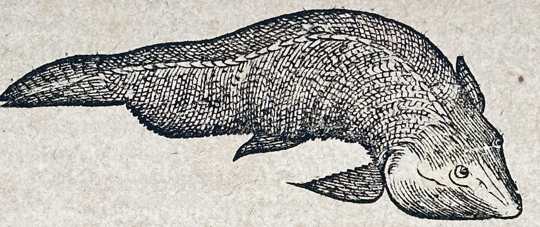 Sebastian Münster (1488–1552) – Zoological and Mining Account with Triton – Woodcut (1550) (1 of 3)