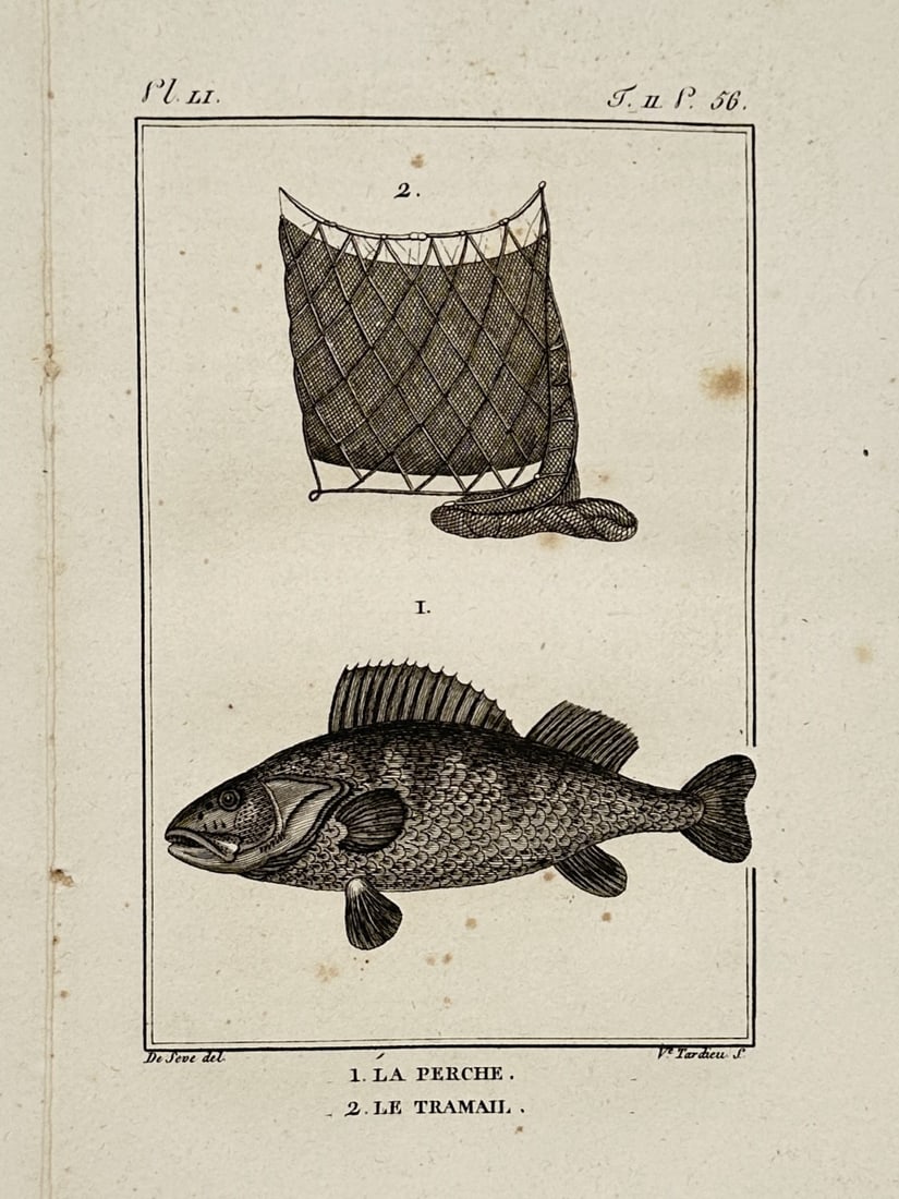 Georges-Louis Leclerc, Comte de Buffon – Ichthyological Illustration of a Perch and a Trammel Net (1 of 2)