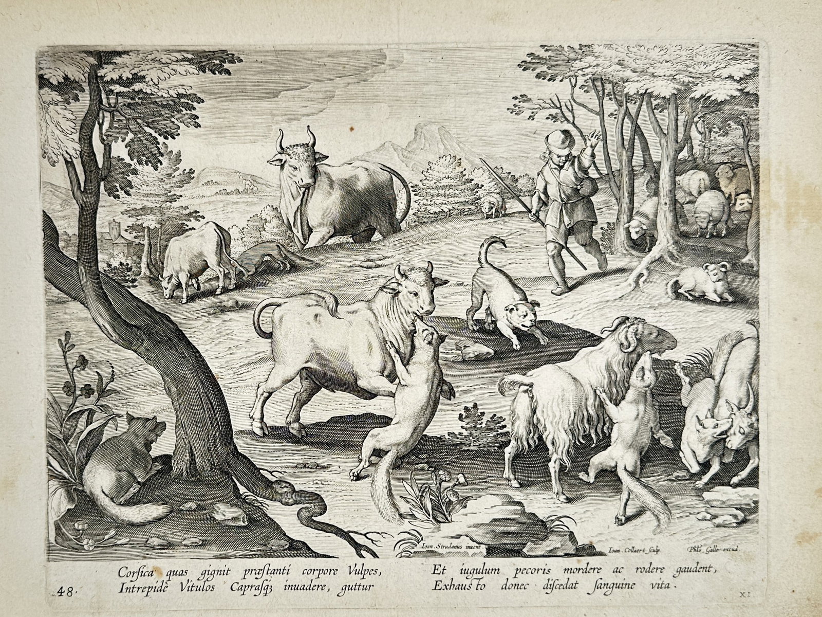 Johannes Stradanus (1523–1605) – Bulls and Goats Attacked by Foxes – Engraving (1578) (1 of 2)