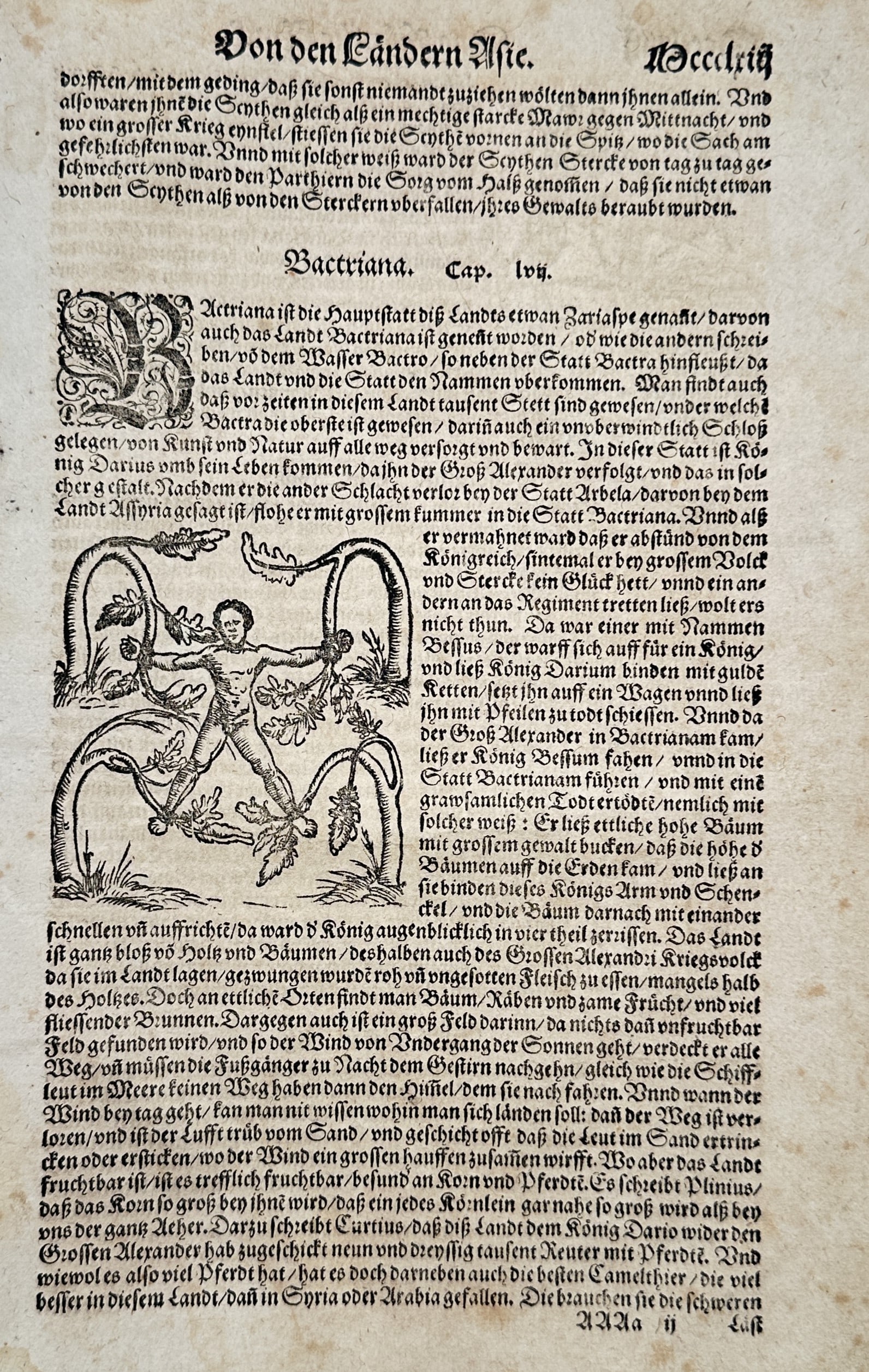 Sebastian Münster (1488–1552) – Execution of Bessus in Bactriana – Woodcut (circa (1 of 2)