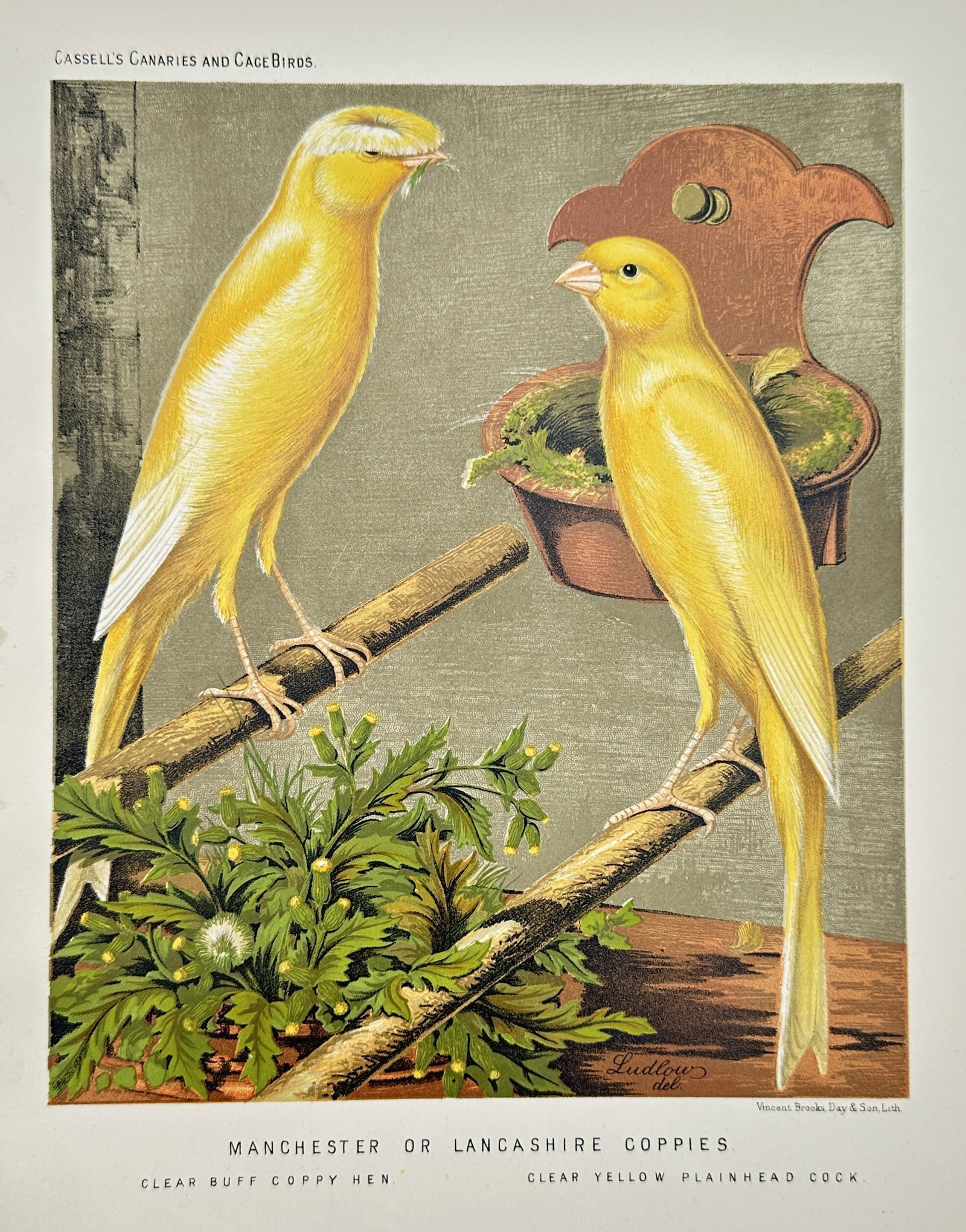 Joseph Williamson Ludlow – Manchester or Lancashire Coppies – Chromolithograph (1 of 2)