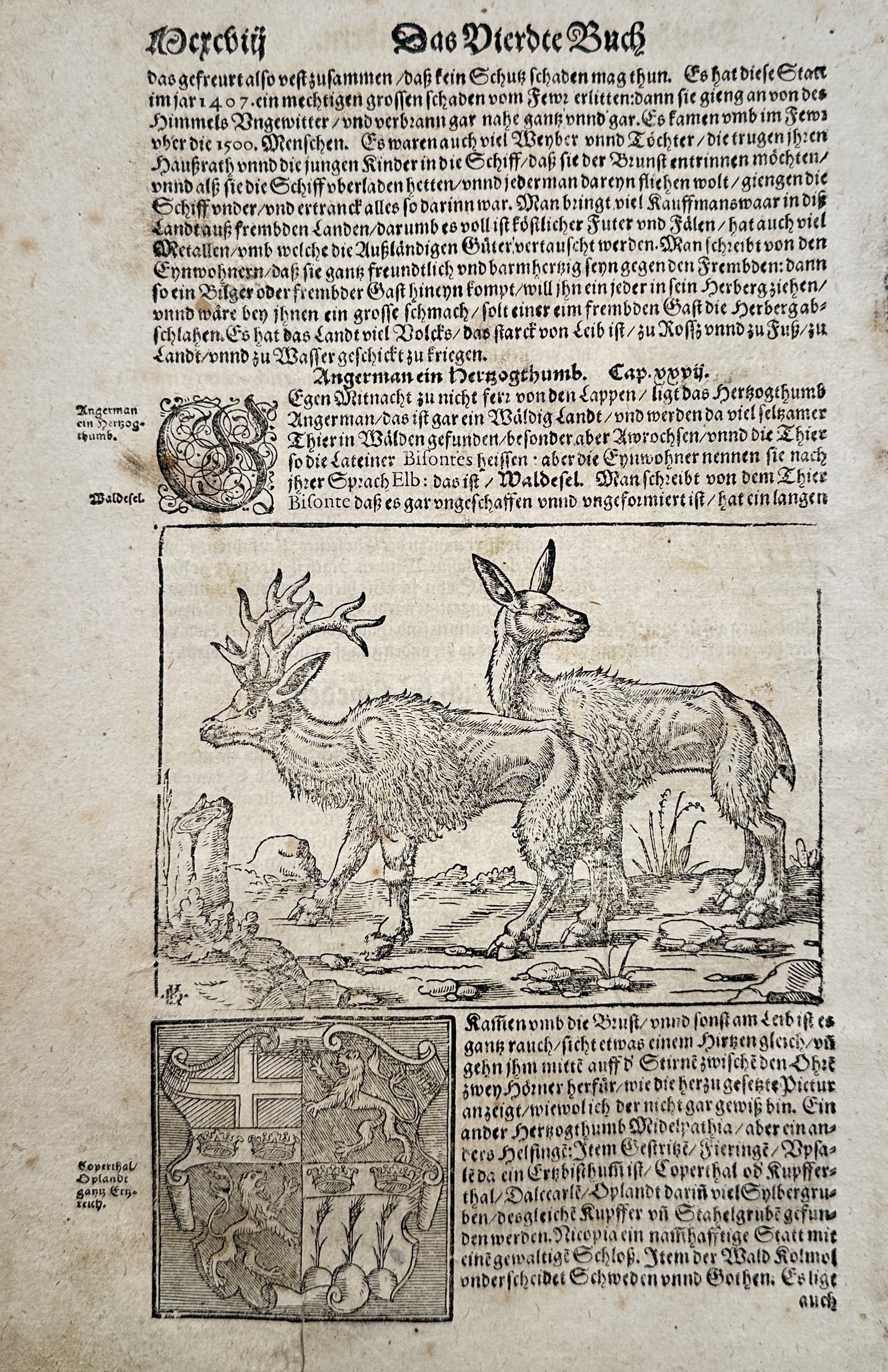 Sebastian Münster (1488–1552) – The Fourth Book with Elks and Coat of Arms – Woodcut (1550) (1 of 2)