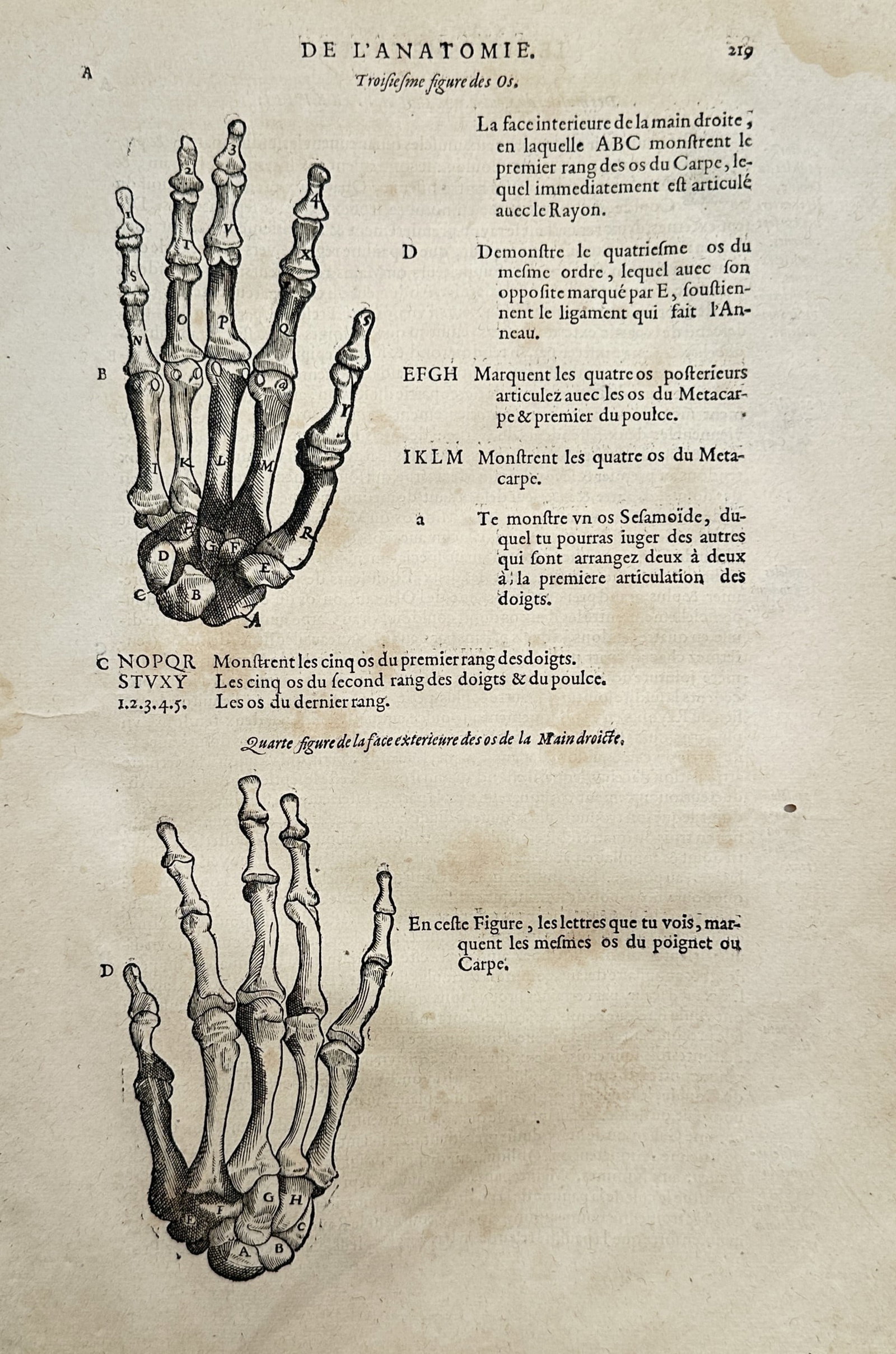 Ambroise Paré (1510–1590) – Anatomical Studies of the Bones of the Hand – Woodcut (1 of 2)