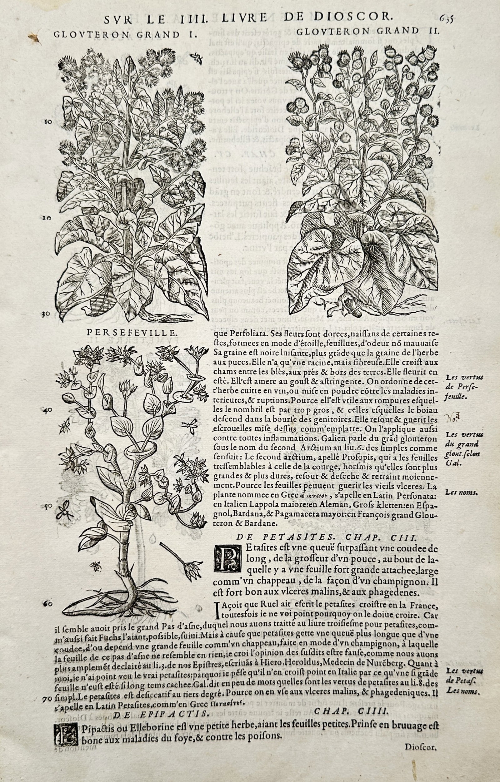 Pietro Andrea Mattioli (1501–1578) – Studies of Burdock Varieties and Butterbur – Woodcut: "Sur le IIII. Livre de Dioscor." illustrates a broad overview of a botanical treatise page featuring three distinct plant specimens accompanied by integrated columns of historical commentary text in F