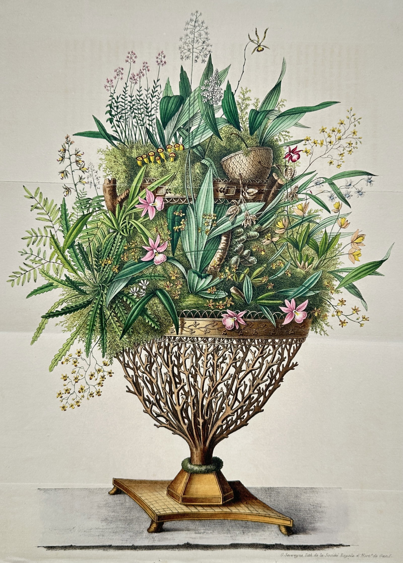 Charles Morren – Orchestria or Elegant Arrangement of Orchids and Ferns in a Decorative Stand (1 of 2)