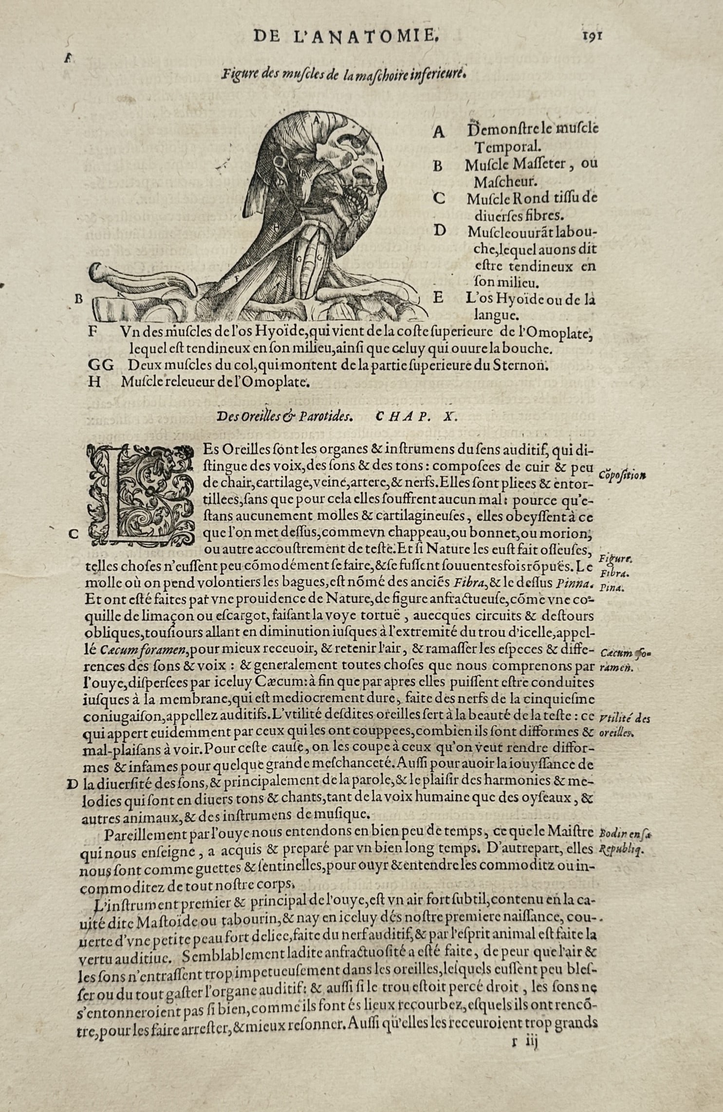 Ambroise Paré (1510–1590) – Anatomical Study of the Muscles of the Lower Jaw and Neck (1 of 2)
