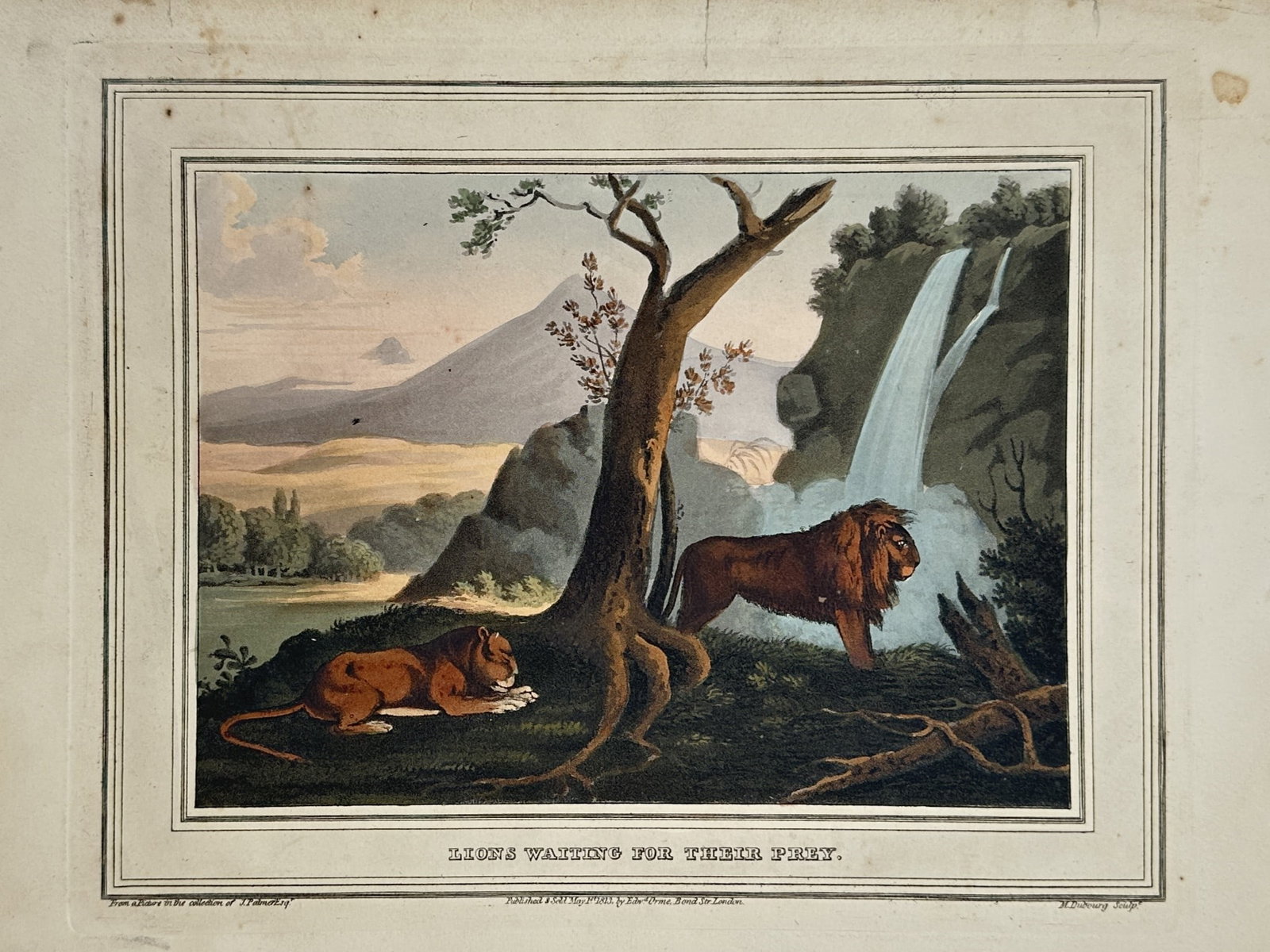 Henry Thomas Alken – View of Lions Waiting for Their Prey – Hand-coloured aquatint (1813–1814) (1 of 2)