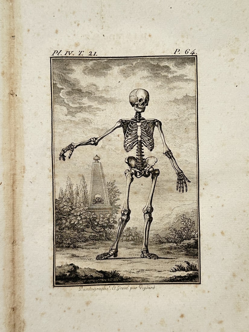 Georges-Louis Leclerc, Comte de Buffon – Anatomical Study of a Human Skeleton (1 of 2)