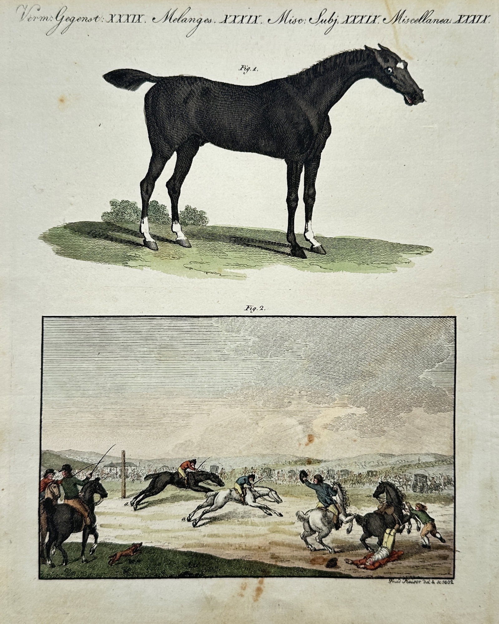 Friedrich Justin Bertuch – Zoological and Sporting Studies of Horses and a Horse Race (1 of 2)