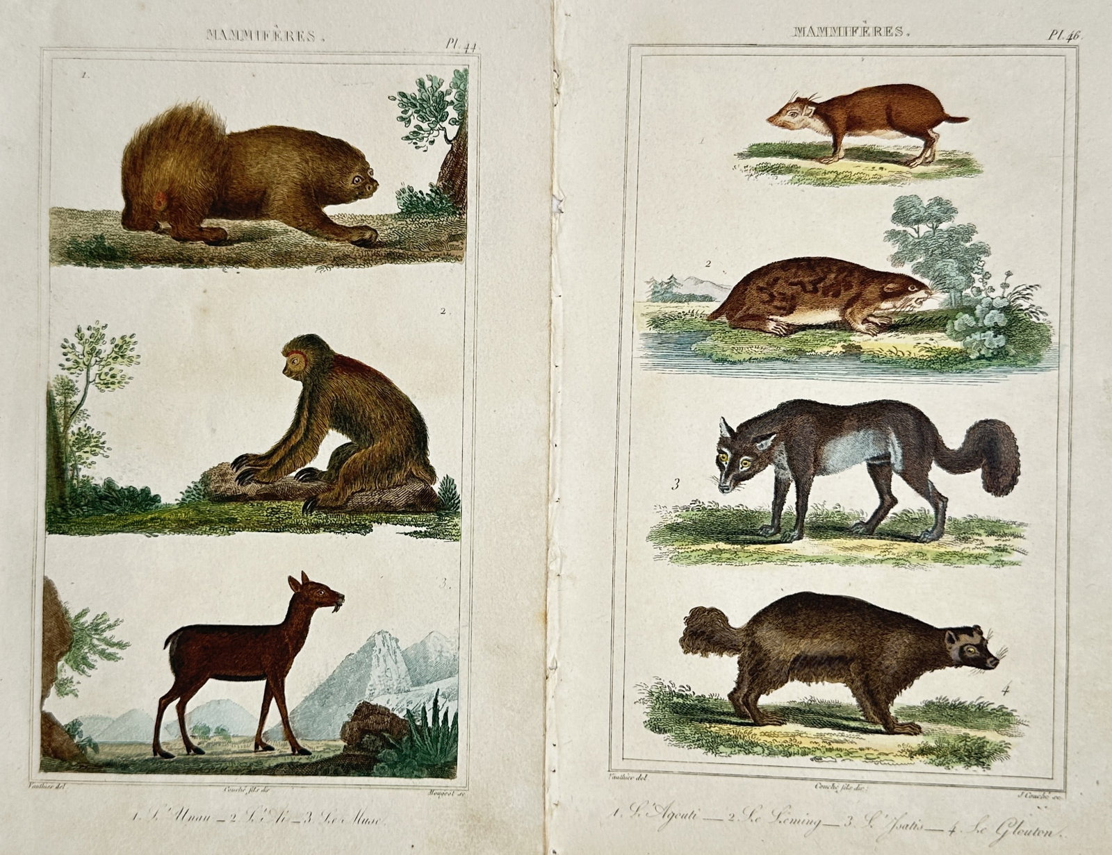 Georges-Louis Leclerc, Comte de Buffon – Set of 2: Views of Mammals, Primates: Histoire Naturelle des Quadrupedes presents a concise, general description of a zoological study documenting global mammal species. The composition consists of two adjacent plates within framed border