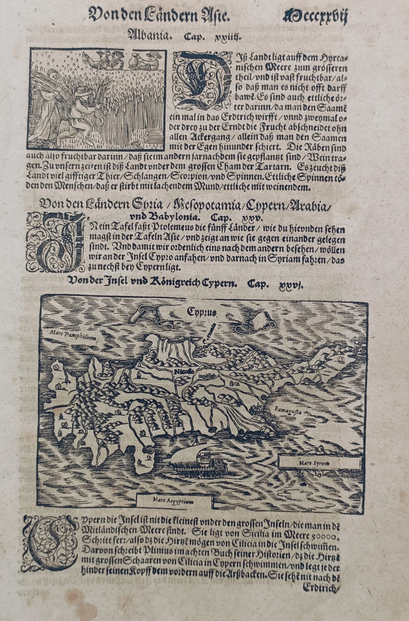 Sebastian Münster (1488–1552) – Map of Cyprus – Woodcut (1643) (1 of 2)