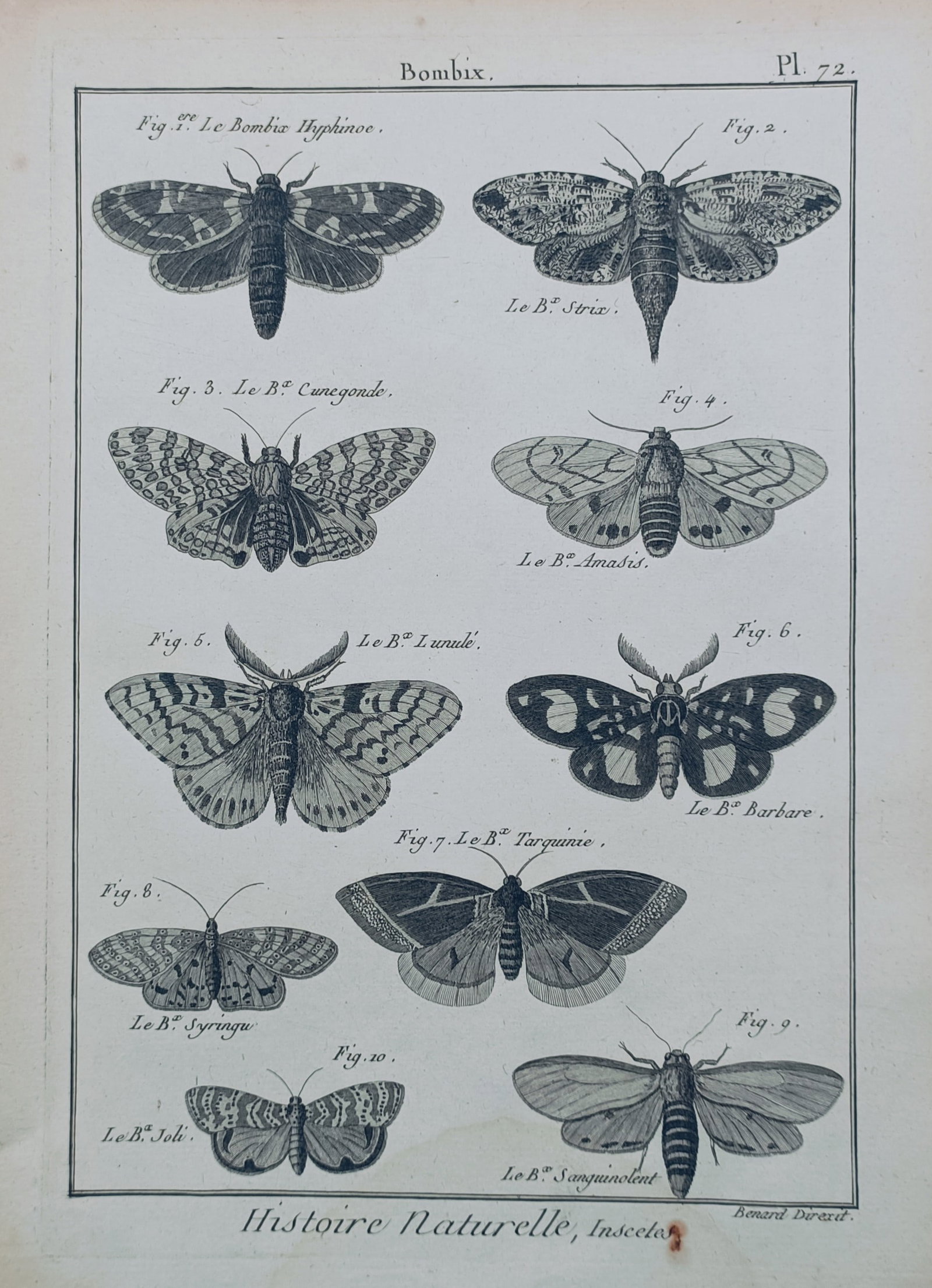 Robert Bénard – Various Species of Silk Moths – Engraving (1788) (1 of 2)