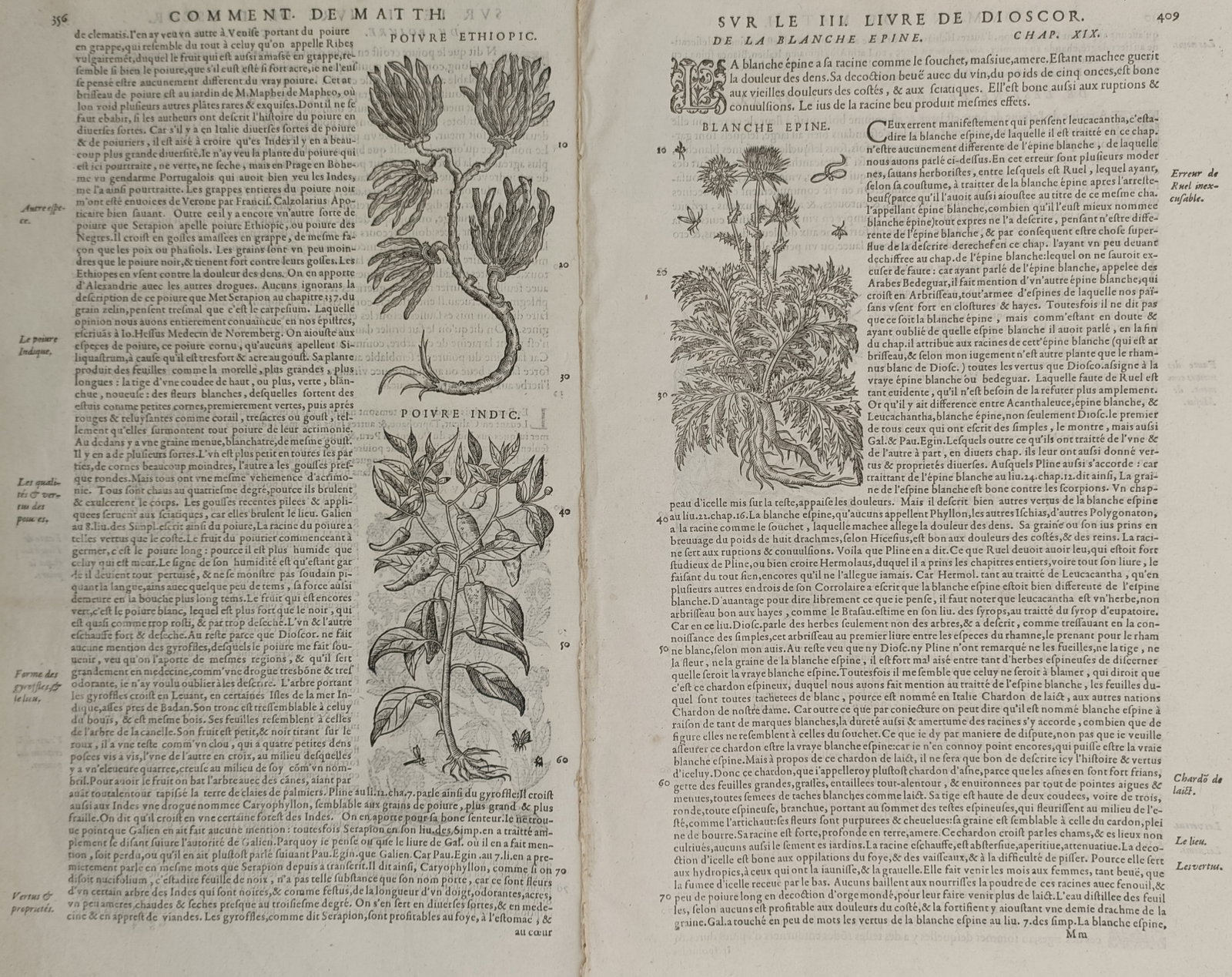 Pietro Andrea Mattioli – Set of 2: Studies of Pepper and Hawthorn Species – Woodcut (1572): "Comment. de Matth. sur le III. Livre de Dioscor." presents a set of two sixteenth-century botanical studies illustrating various medicinal plants, featuring a split-leaf design that showcases the bra