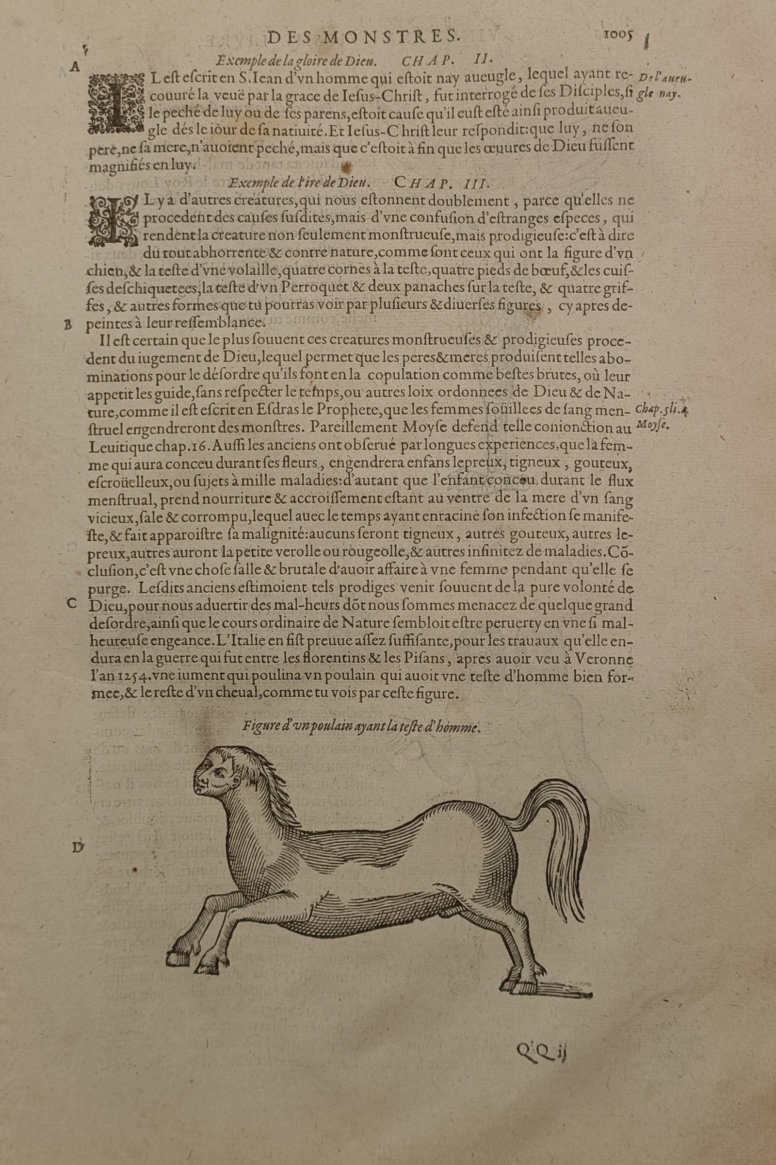 Ambroise Paré (1510 – 1590) – Monster and Prodigy Foal with a Human Head – Woodcut (1670): "Figure D'un Poulain Ayant La Teste D'homme" The print illustrates a mythical hybrid creature featured in early medical and teratological literature. A quadruped with the body, hooves, and tail of a h