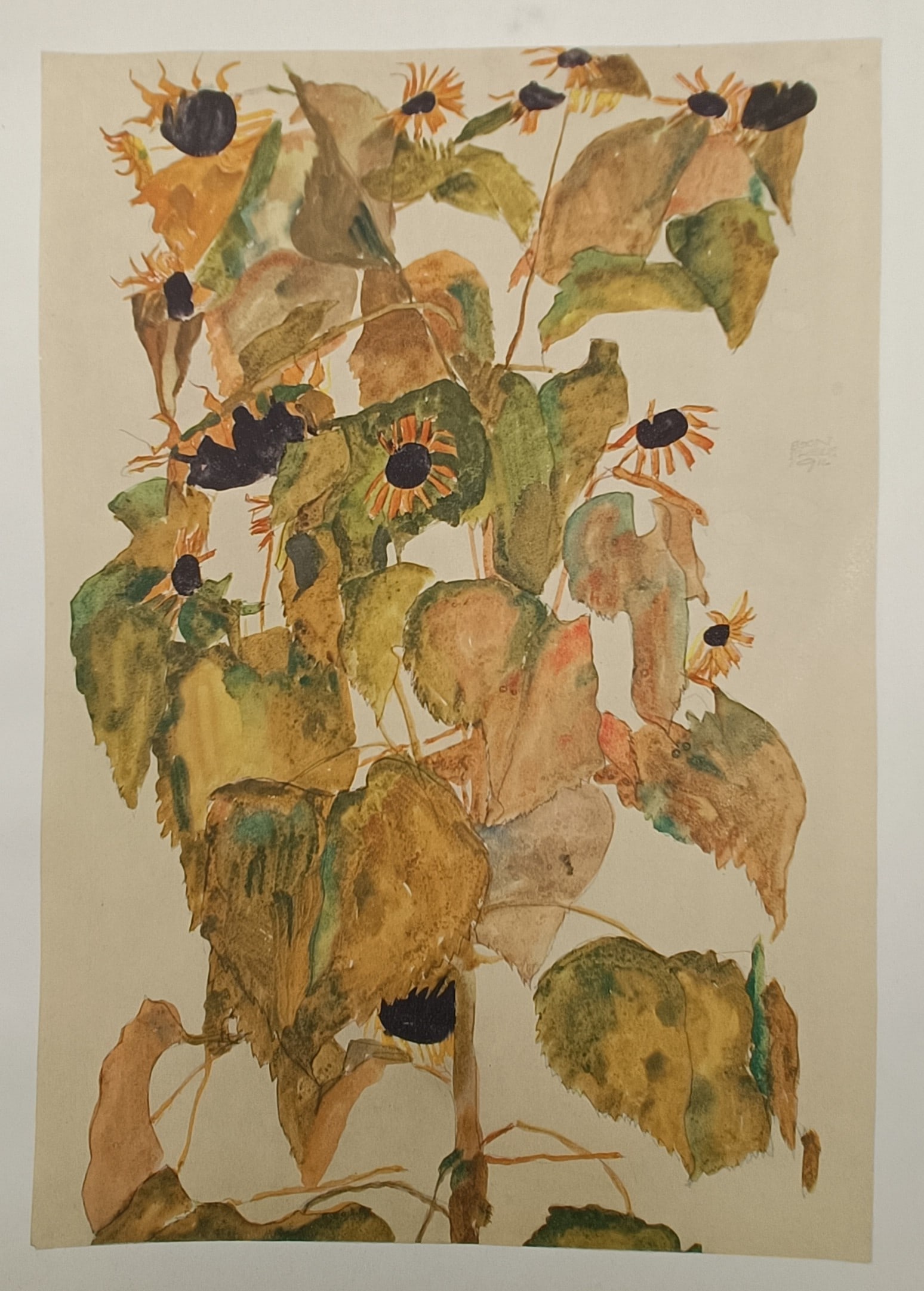 Egon Schiele, after – Botanical Study of Sunflowers – Austria – Offset lithograph (20th: "Sonnenblumen" The print features an expressionist botanical study illustrating a dense grouping of sunflowers against an unadorned tan background field. The composition captures a cluster of tall ste