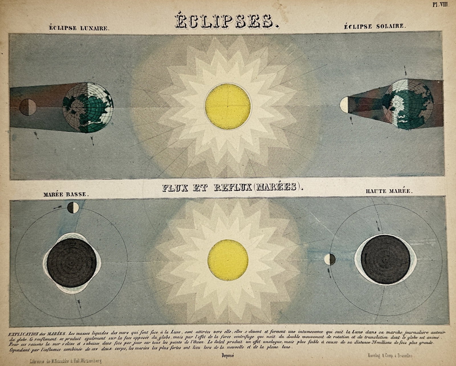 Wilhelm Nitzschke – Eclipses and Tides – Lithograph (19th Century): "Eclipses" presents a broad overview of astronomical diagrams demonstrating the mechanics of solar and lunar eclipses alongside the gravitational forces governing ocean tides. This educational scienti