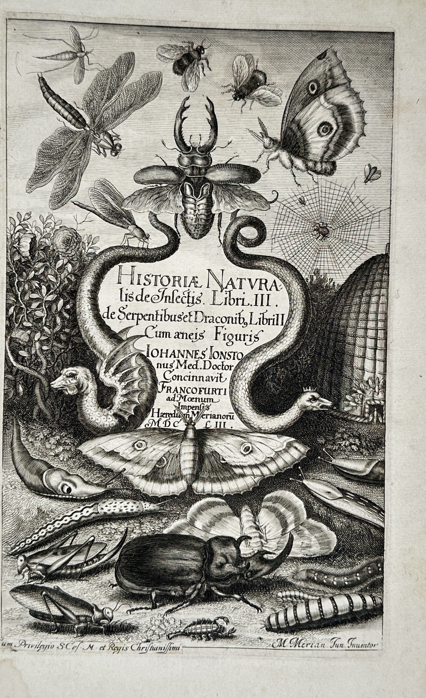 John Jonston – Title Page of the Natural History of Insects – Engraving (1653): "Historiae Naturalis de Insectis Libri III" presents a broad overview of an ornate title page adorned with an array of meticulously rendered insects including beetles, butterflies, and a dragonfly sur