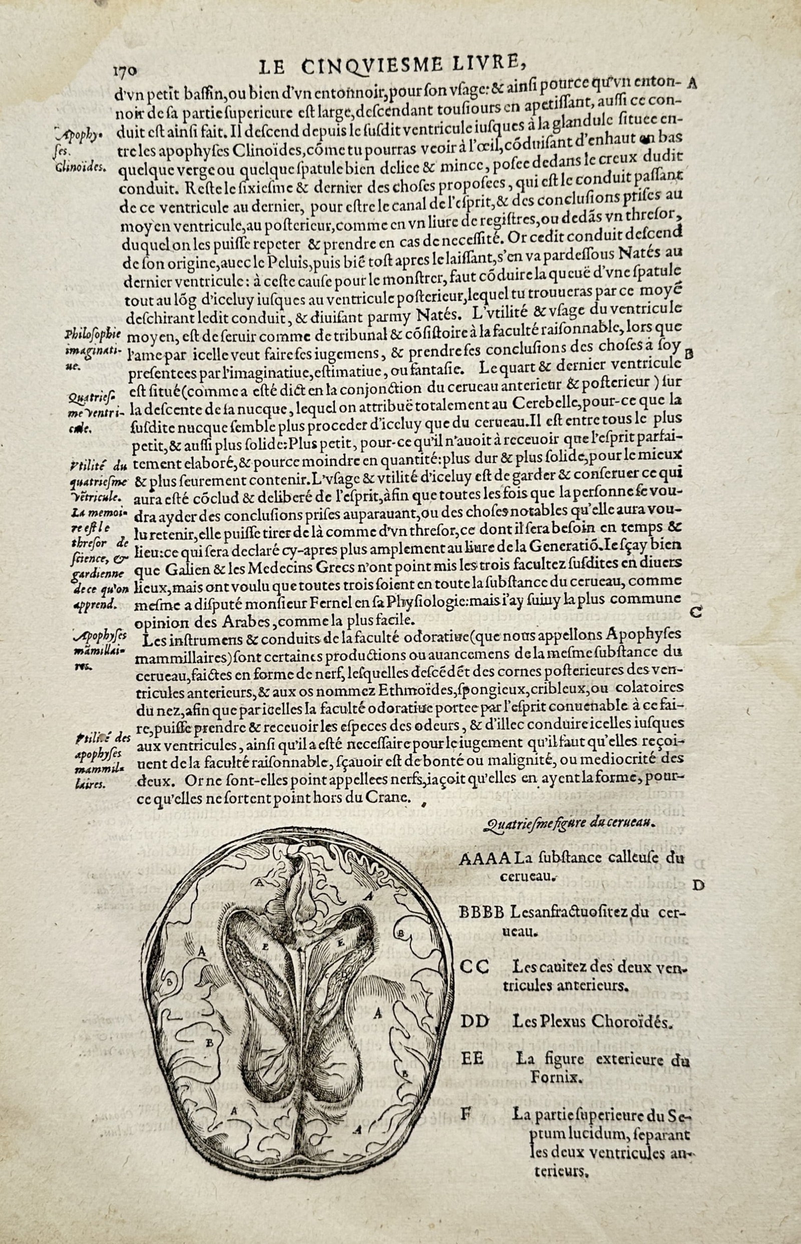 Ambroise Paré – Fourth Figure of the Brain – Engraving (16th Century): Quatrième Figure du Cerveau presents a broad overview of an anatomical dissection illustrating the internal ventricles, choroid plexus, and fornix of the human brain surrounded by detailed French tex