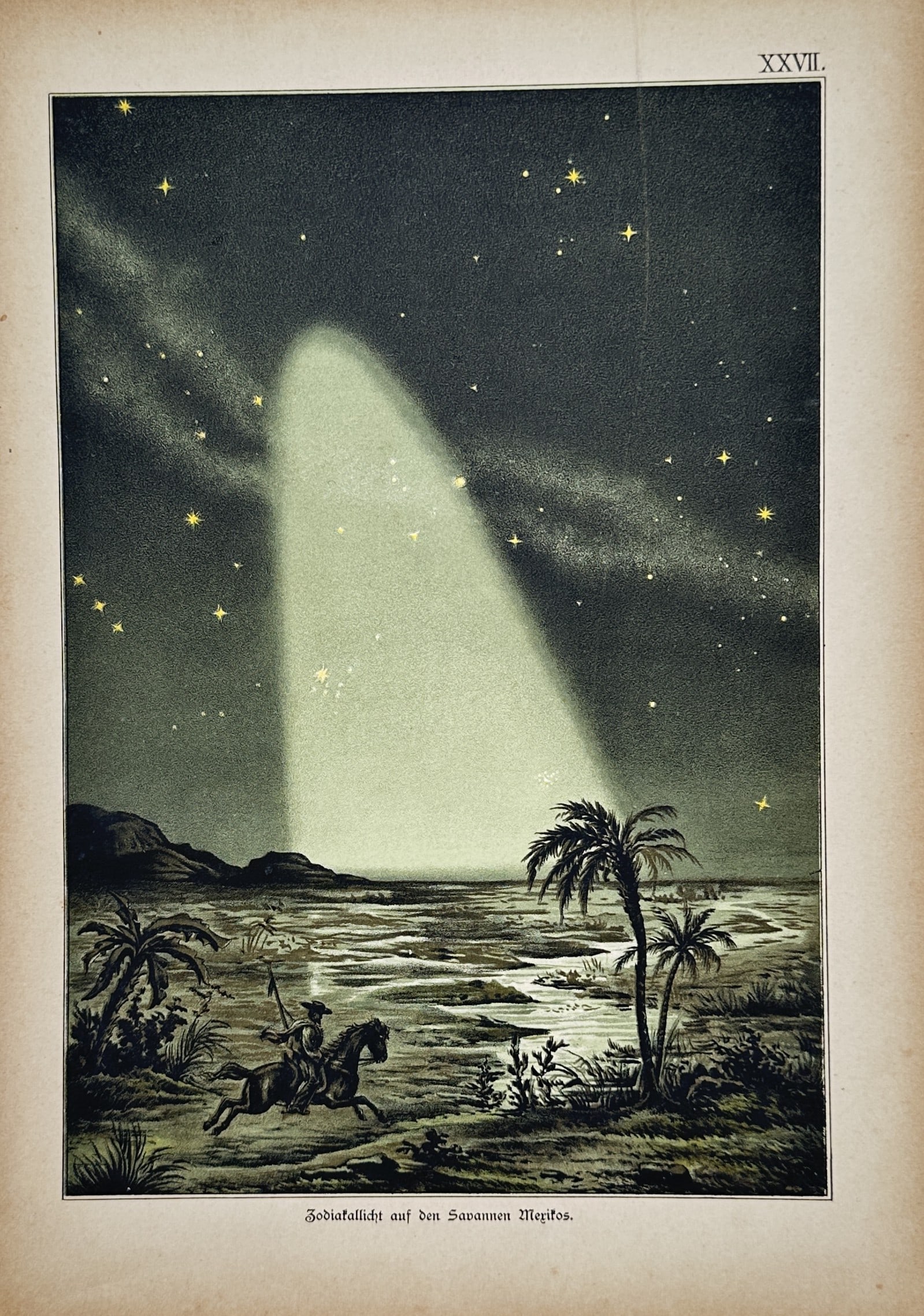 Wilhelm Nitzschke – Zodiacal Light in the Savannah – Lithograph (19th Century): "Zodiacallicht auf den Savannen Mexicos" presents a broad overview of a brilliant, cone-shaped beam of celestial light rising from the horizon into a starry night sky above a tropical landscape popula