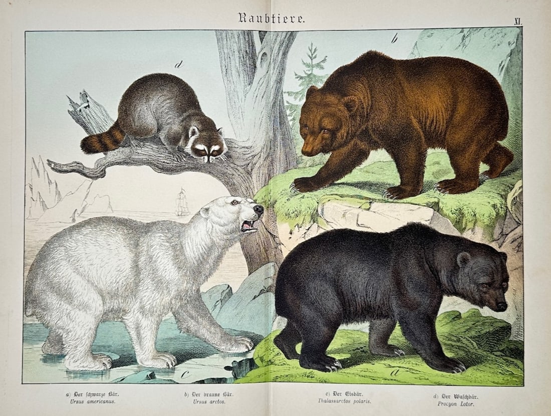 Gotthilf Heinrich von Schubert – Predators – Lithograph (1880): "Raubtiere" is a natural history illustration from a nineteenth-century scientific publication that showcases various predatory mammal species within their representative wilderness habitats. The comp