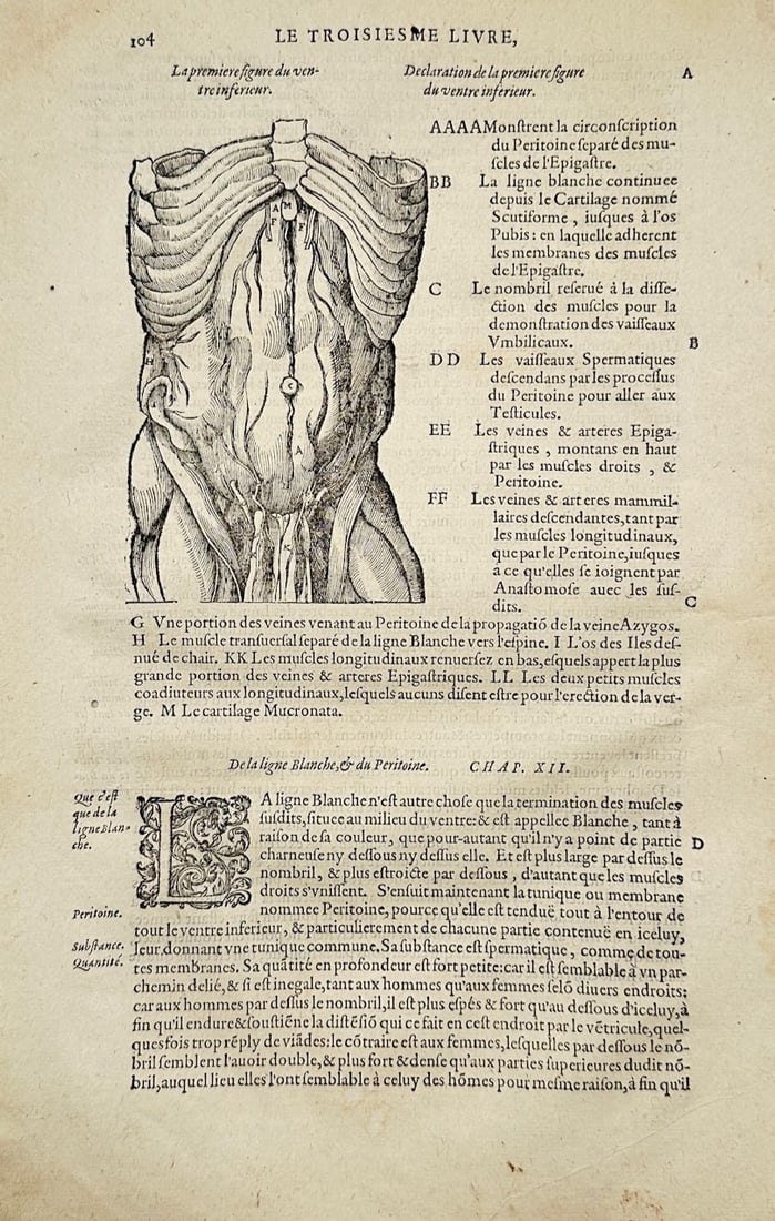 Ambroise Paré – The Third Book – Engraving (16th Century): "Le troisieme livre" is an early medical illustration from a historical treatise showcasing detailed anatomical studies of the human torso and abdominal musculature. The composition displays a scienti