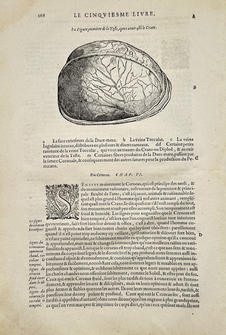 Ambroise Paré – The Fifth Book – Engraving (16th Century): "Le cinquviesme livre" is an early medical illustration from a historical treatise showcasing detailed anatomical studies of the human cranium and brain membranes. The composition displays a scientifi