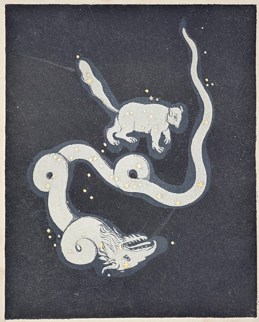 Charles F. Blunt – Constellations of Draco and Ursa Minor – Lithograph (1842): "Draco Ursa Minor" is an astronomical illustration that showcases the celestial figures of the dragon and the little bear mapped out against a dark night sky interspersed with golden stars. The compos