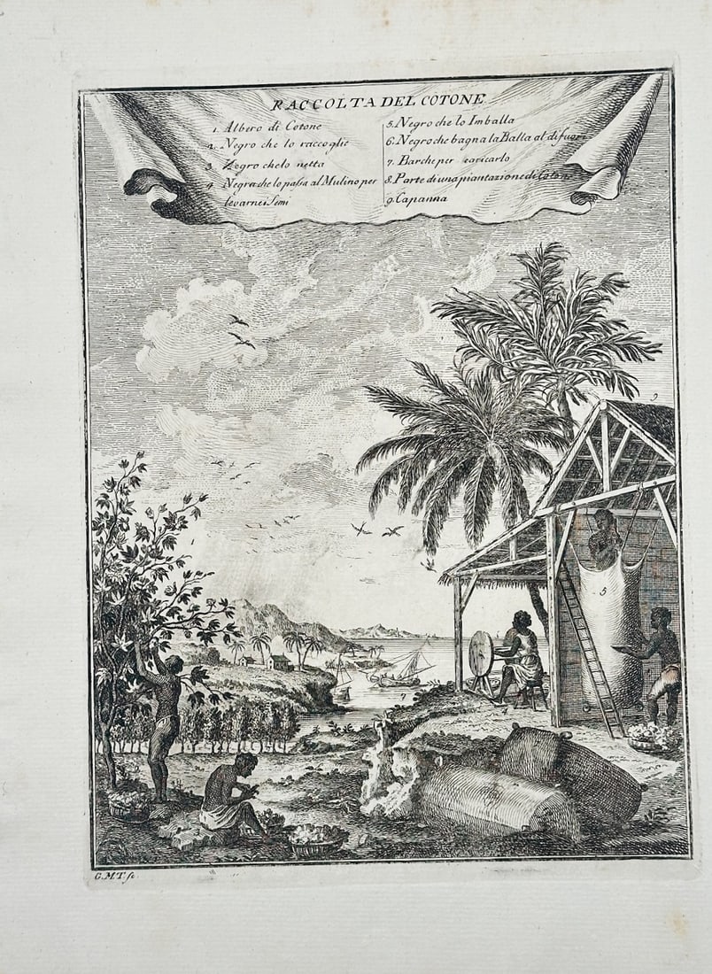Giuseppe Maria Terreni – Raccolta del Cotone (Cotton Harvest) – Engraving (18th Century) (1 of 2)