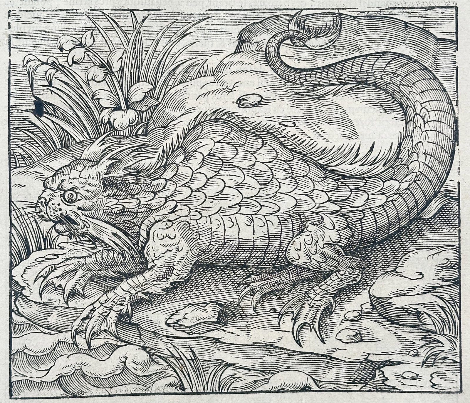 Ambroise Pare – Zoological Sea Monster – Engraving (16th Century) (1 of 3)