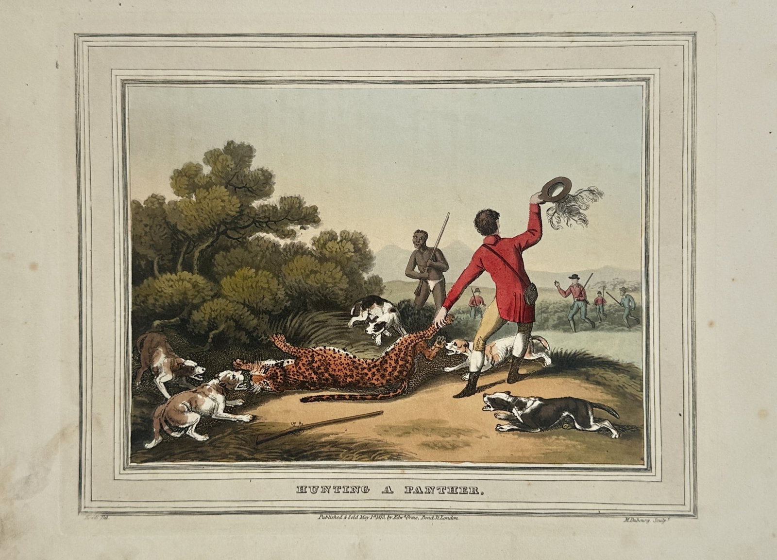 Samuel Howitt – Hunting a Panther – Hand-coloured aquatint (1813): "Hunting a Panther" presents a dynamic and high-stakes sporting scene depicting a group of determined hunters and a pack of active hounds cornering a large, beautifully spotted wild cat within an expa