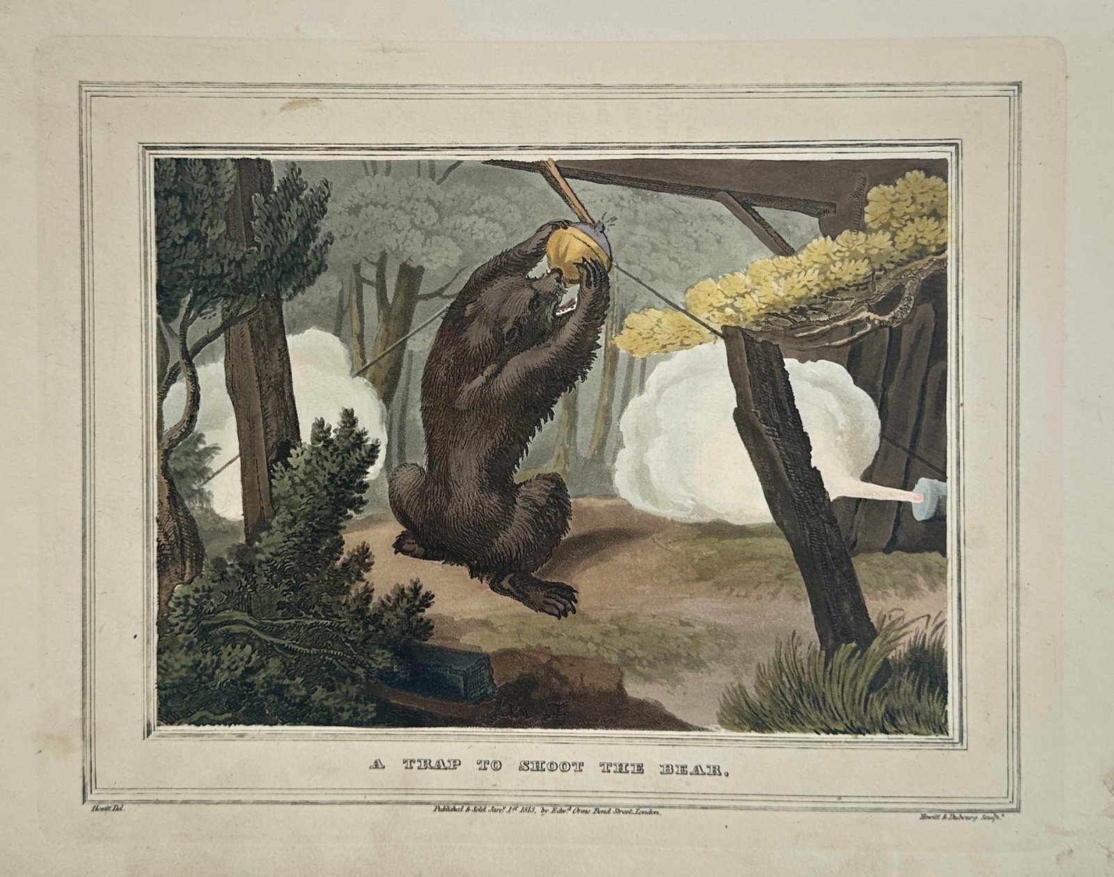 Samuel Howitt – A Trap to Shoot the Bear – Hand-coloured aquatint (1813): "A Trap to Shoot the Bear" presents a dynamic and suspenseful wilderness scene depicting a powerful, large bear interacting cautiously with a cleverly concealed trigger mechanism inside a dense, fores