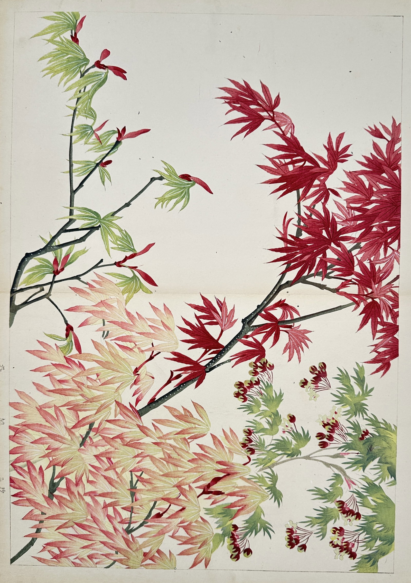 Tanigami Konan – Maples – Gouache Drawing Woodblock print (20th Century) (1 of 3)