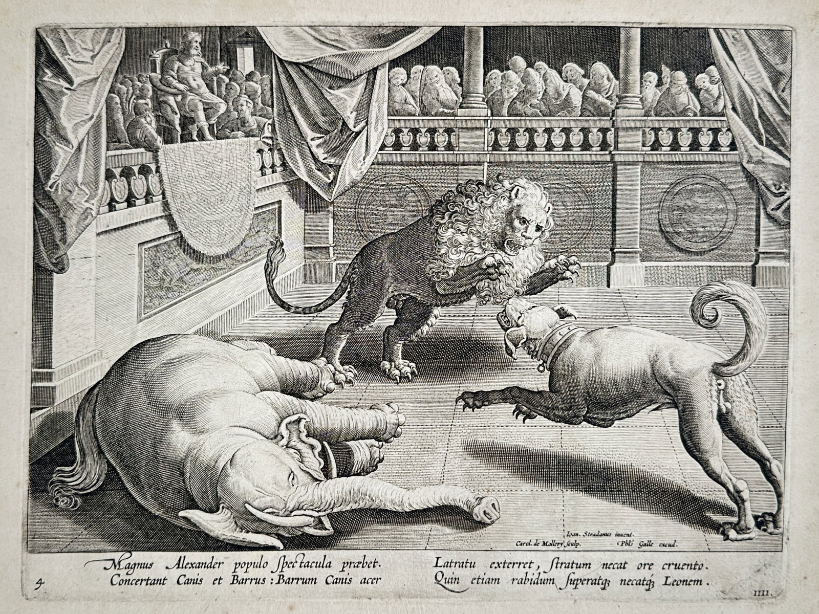 Johannes Stradanus – Alexander the Great and Animal Combat – Classical Antiquity – Engraving: "Magnus Alexander Populo Spectacula Praebet" presents a dramatic classical arena scene capturing an extraordinary animal combat between a lion, a fierce hound, and a fallen elephant before a crowded a