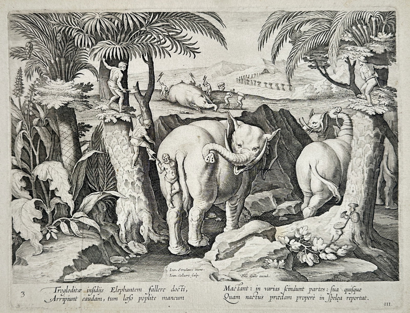 Johannes Stradanus – Troglodyte Elephant Hunt – Engraving (16th Century) (1 of 3)