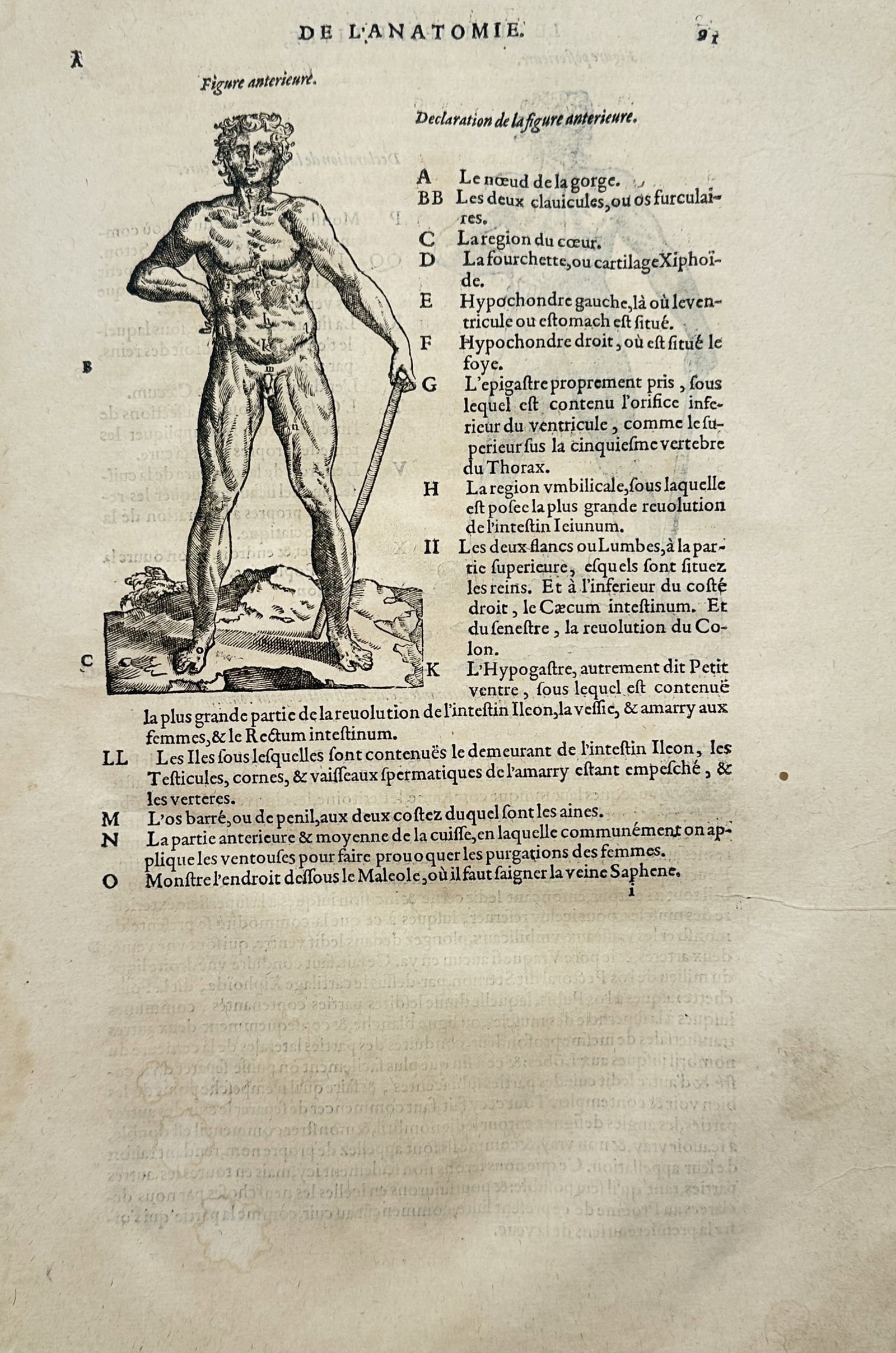 Ambroise Paré – Anatomical Study of the Human Body – Woodcut (16th Century) (1 of 2)