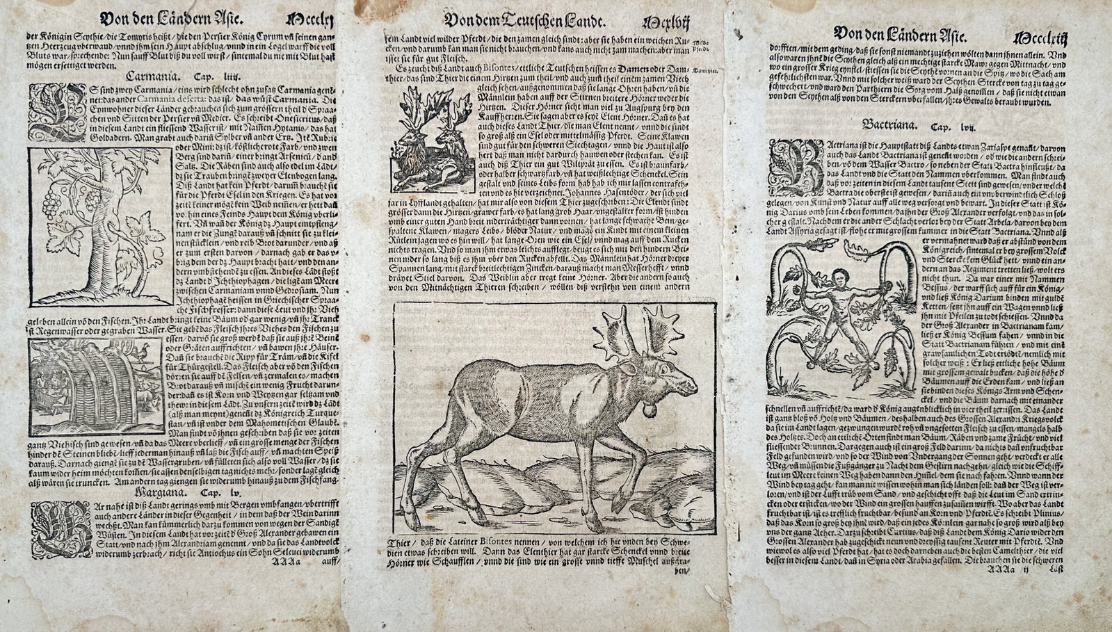 Sebastian Münster – Set of 3: Studies of Carmania, German Fauna, and Bactriana (1 of 2)