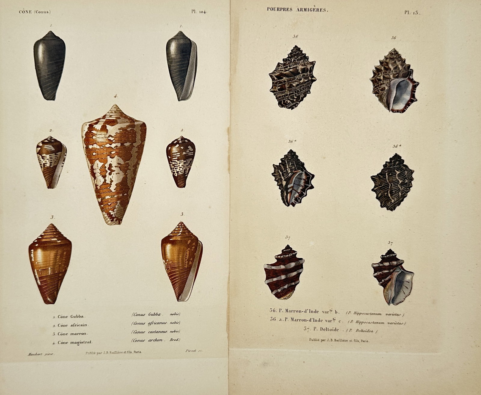 Alessandro Donati – Set of 2: Studies of the Circus of Maxentius and Mausoleum of Hadrian (1 of 2)