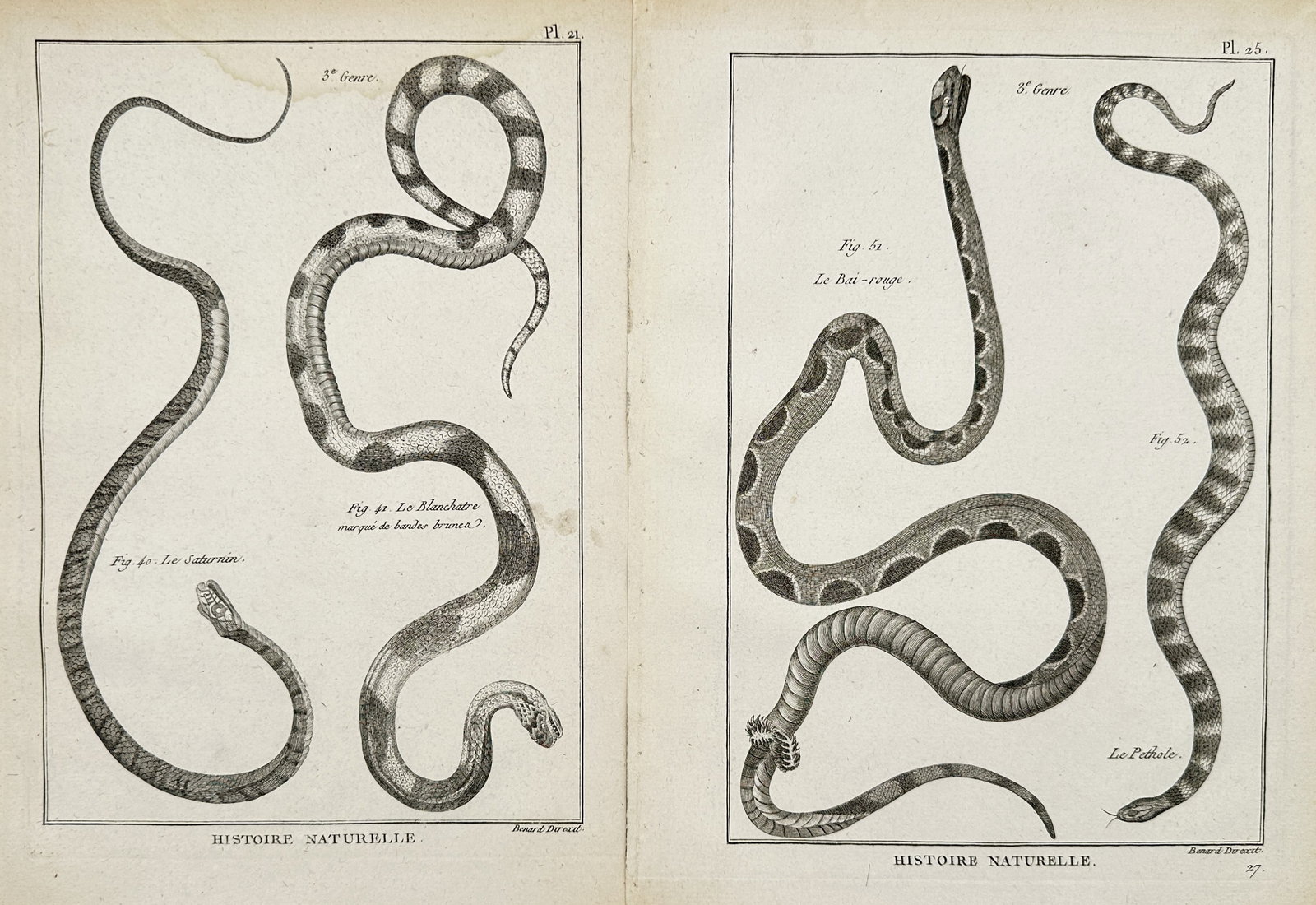 Robert Benard – Set of 2: Studies of Snakes and Serpents – Engravings (18th Century): "Natural History of Serpents" This set of two prints features detailed herpetological illustrations showcasing various species of snakes and serpents adorned with distinct undulating bodies and patter