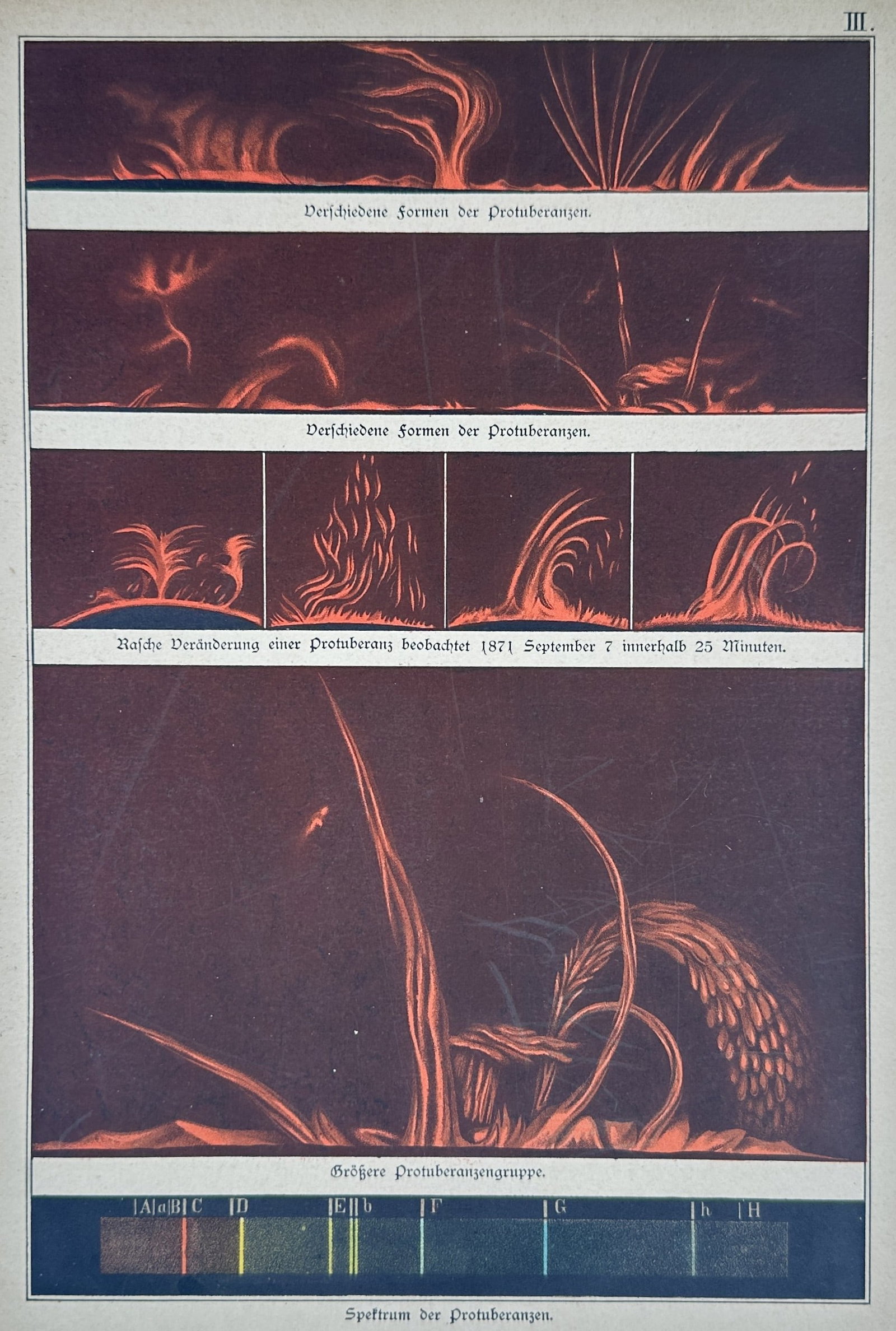 Dr. Edmund Weiss – Study of Solar Prominences and Spectrum – Lithograph (19th Century): "Different Forms of Solar Prominences" This astronomical print features multiple illustrations depicting various shapes, rapid developments, and groupings of solar prominences erupting from the sun's 