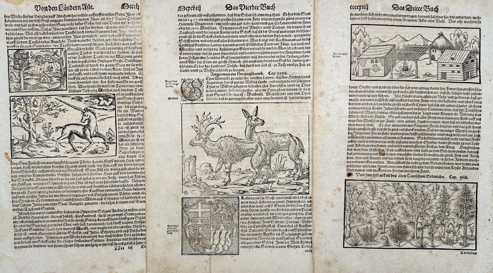 Sebastian Münster – Set of 3: Studies of Exotic Wildlife and Historical Landscapes – Woodcuts: "Cosmographia" This set of three prints features detailed historical and zoological illustrations showcasing a variety of real and mythological creatures, including a unicorn and horned stags, alongsi