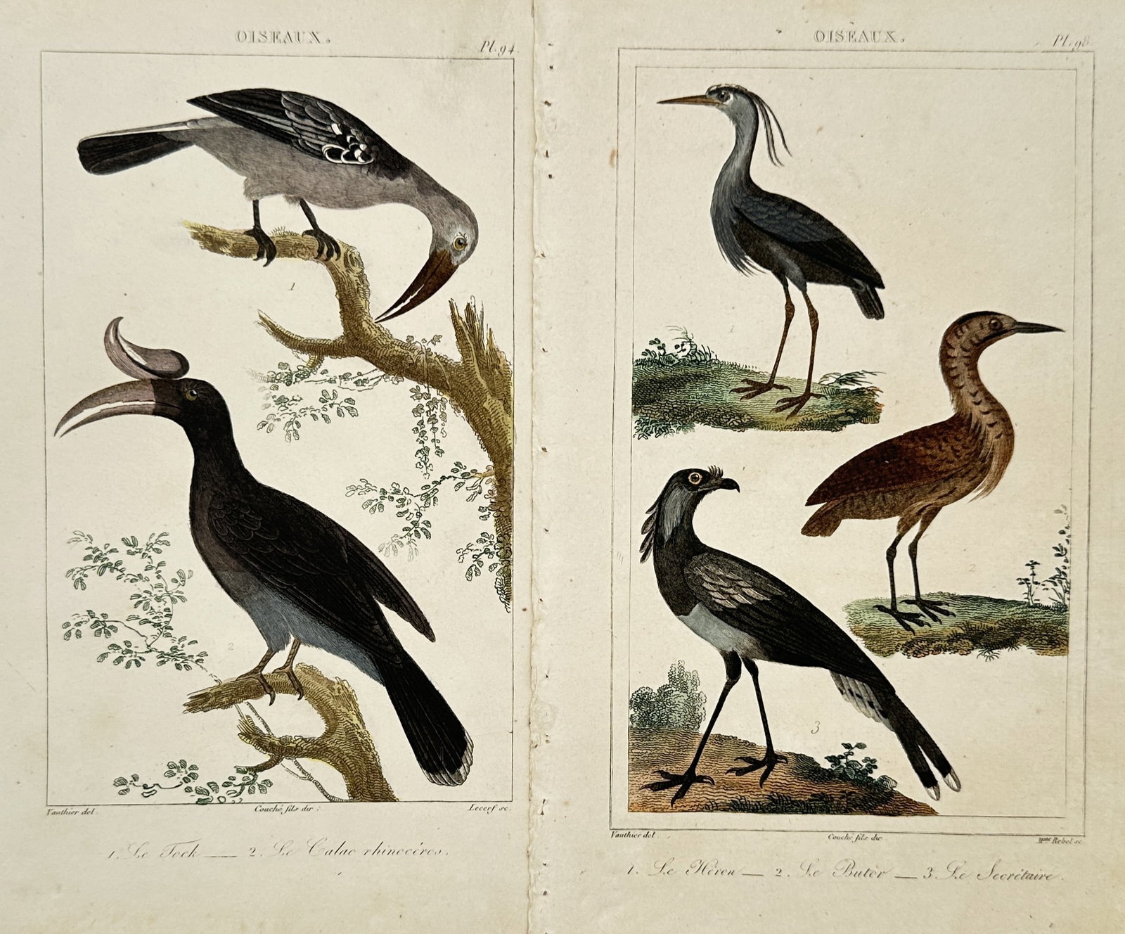 Georges-Louis Leclerc de Buffon – Set of 2: Studies of Exotic Birds and Waterfowl – Engravings (1 of 2)
