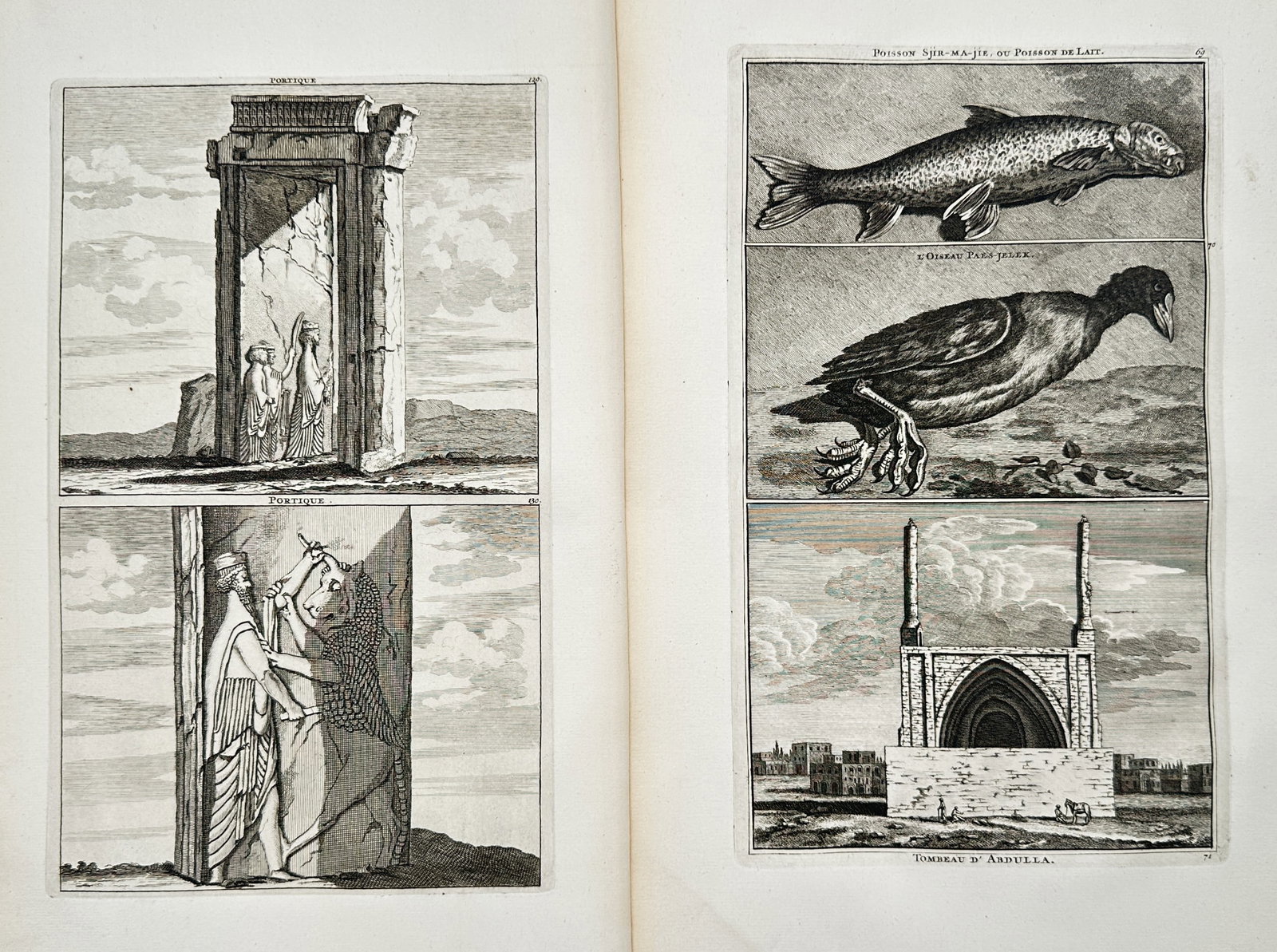 Cornelius de Bruyn – Set of 2: Studies of Persian Reliefs and Middle Eastern Subjects –: "Studies of Eastern Antiquities." This work features documentary illustrations showcasing ancient Persian stone reliefs at Persepolis depicting figures and a lion combat alongside exotic wildlife spec