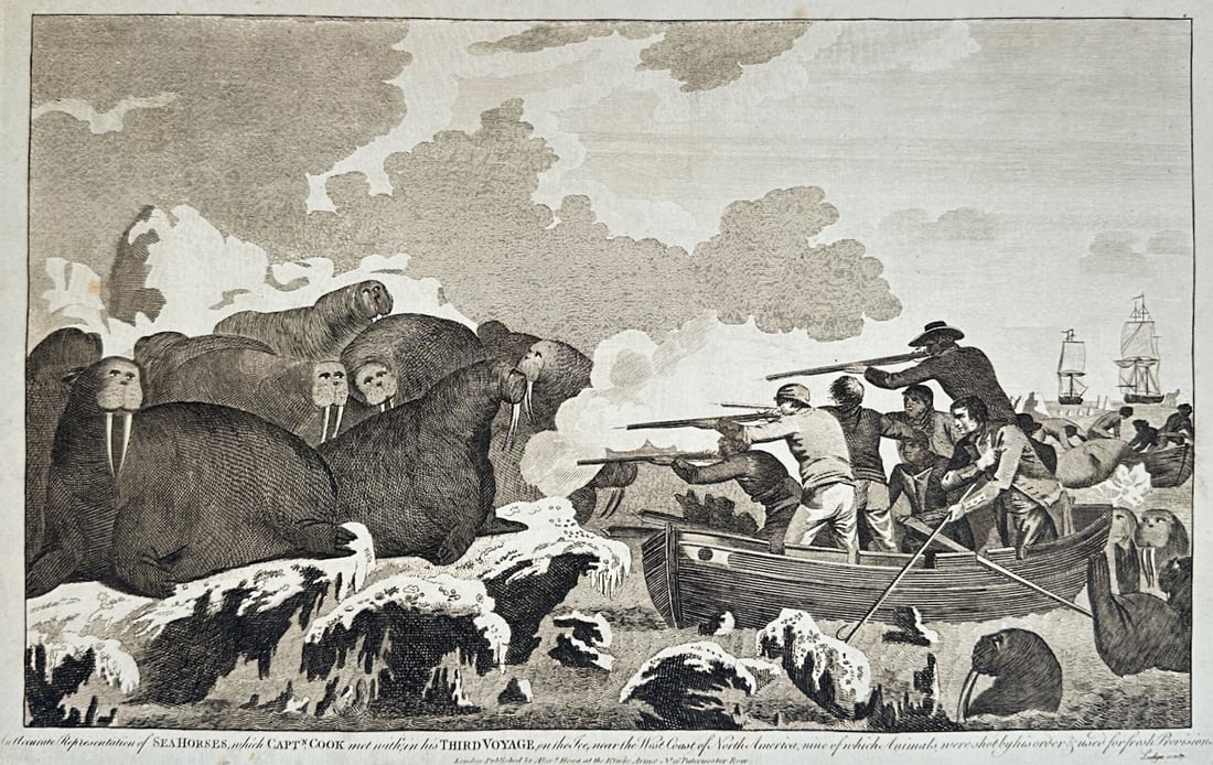 Alexander Hogg – Hunting of Walruses on Captain Cook's Third Voyage – Engraving (18th Century) (1 of 3)
