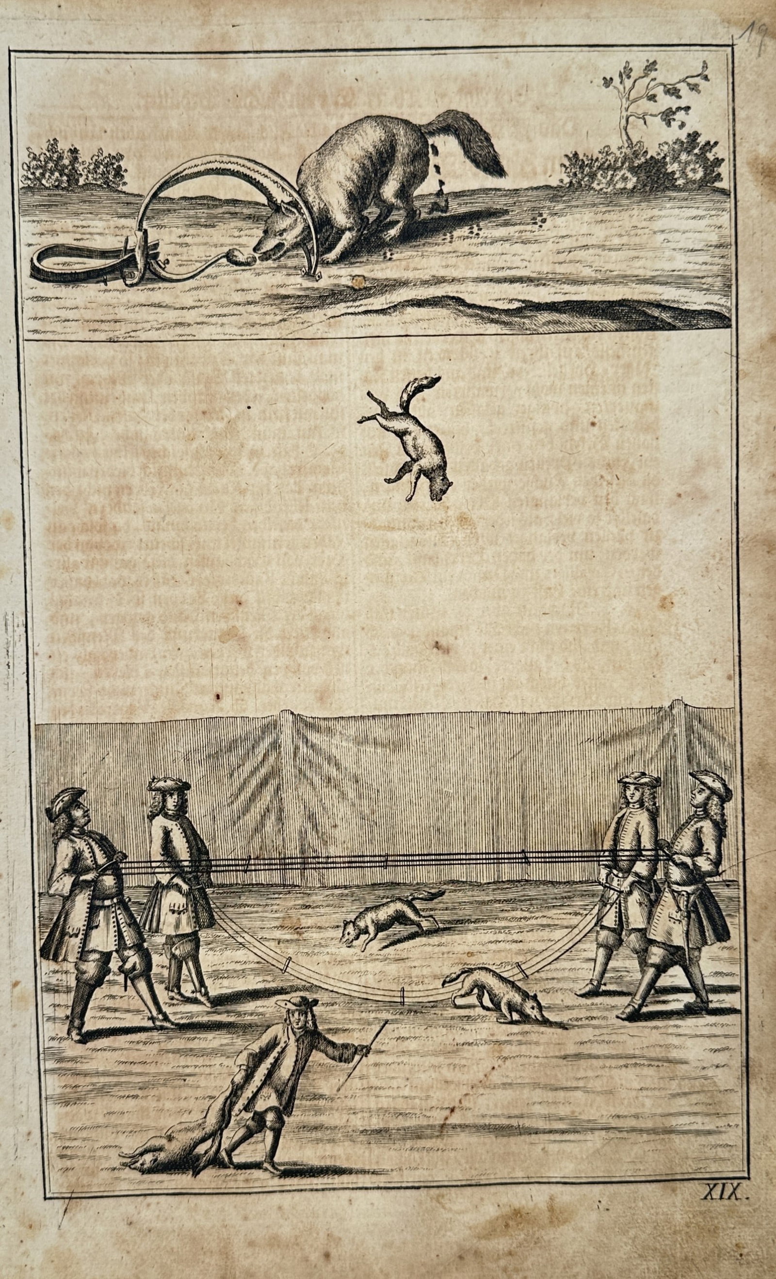 Hans Friedrich von Fleming – Hunting Scene with Fox Tossing – Engraving (1719) (1 of 2)