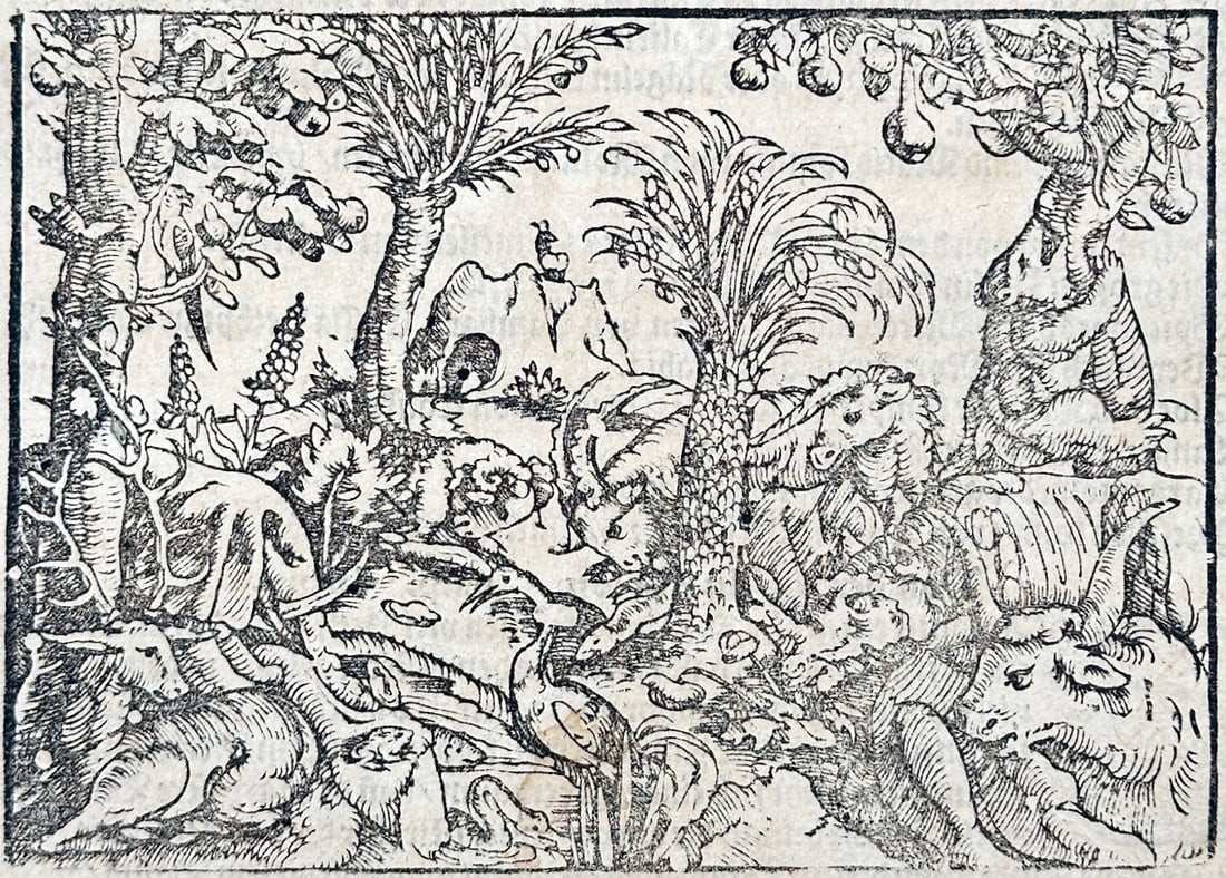 Sebastian Münster – Flora and Fauna of Calicut – Woodcut (1549): "Of the Birds and Animals of Calicut" This woodcut print illustrates a variety of exotic wildlife, including an elephant, a rhinoceros, and predatory beasts, living within a tropical landscape. The hi